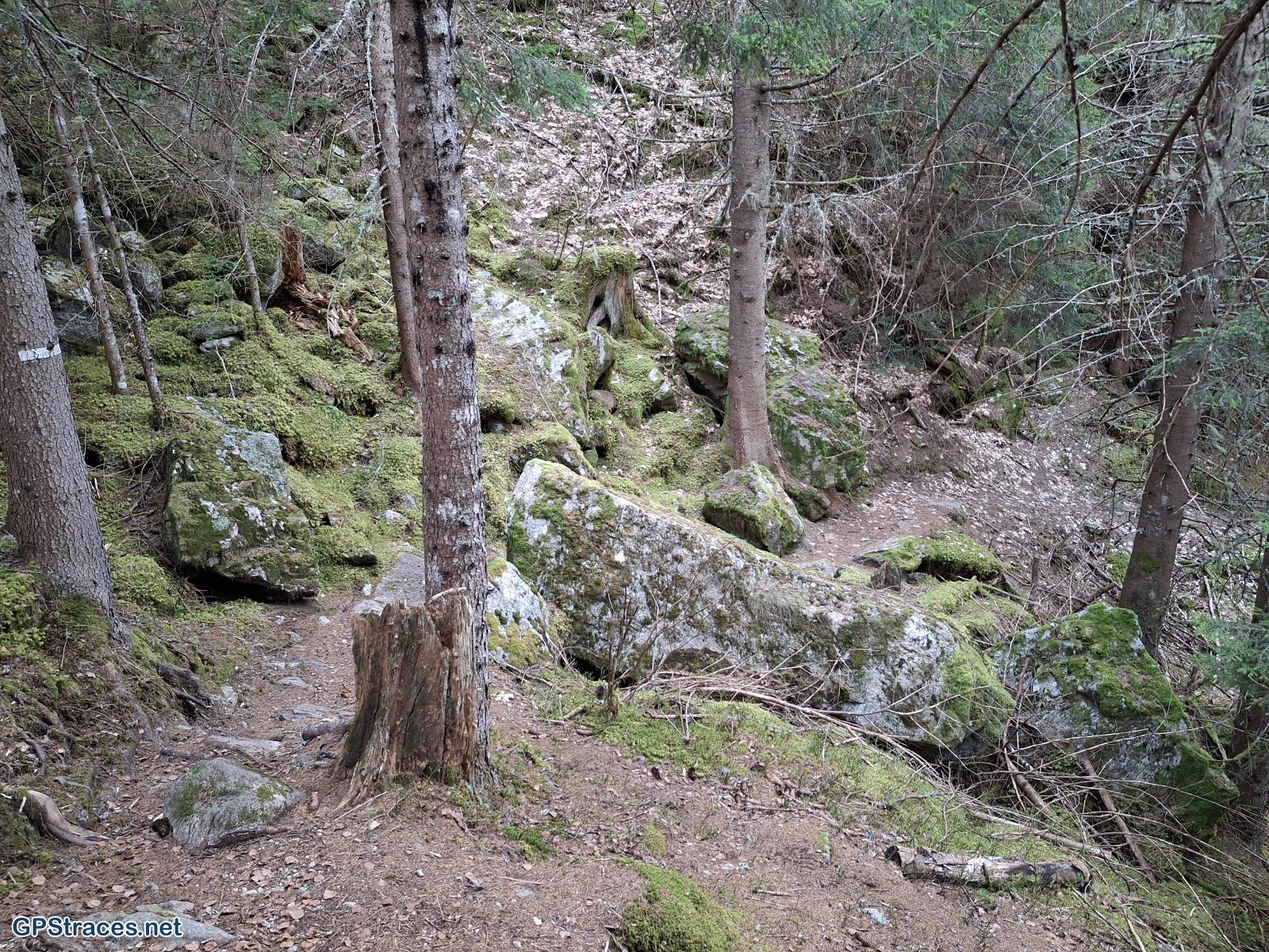 Haute Savoie-Du Cugnon au Pont Romain de la Téna–4
