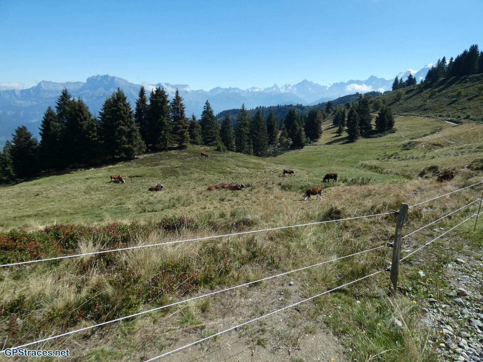 Haute Savoie-Le Grand Croisse-Baulet–3