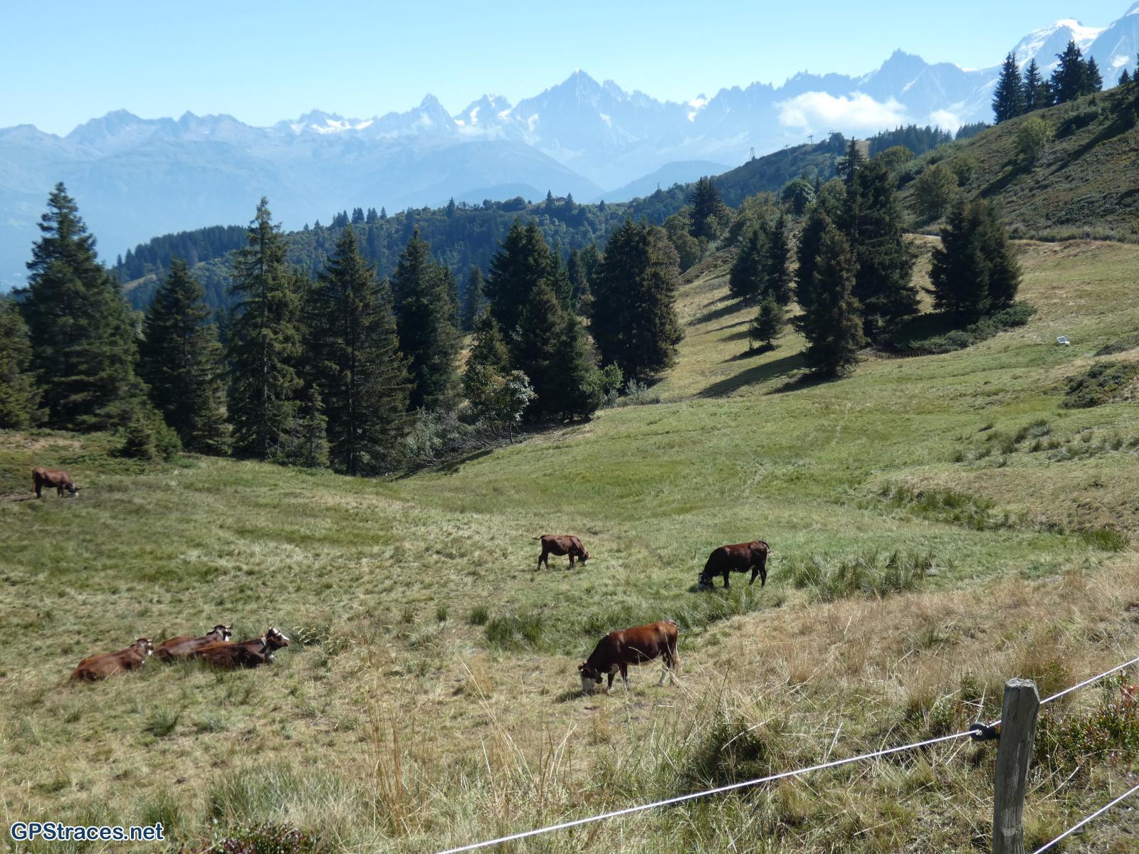 Haute Savoie-Le Grand Croisse-Baulet–4