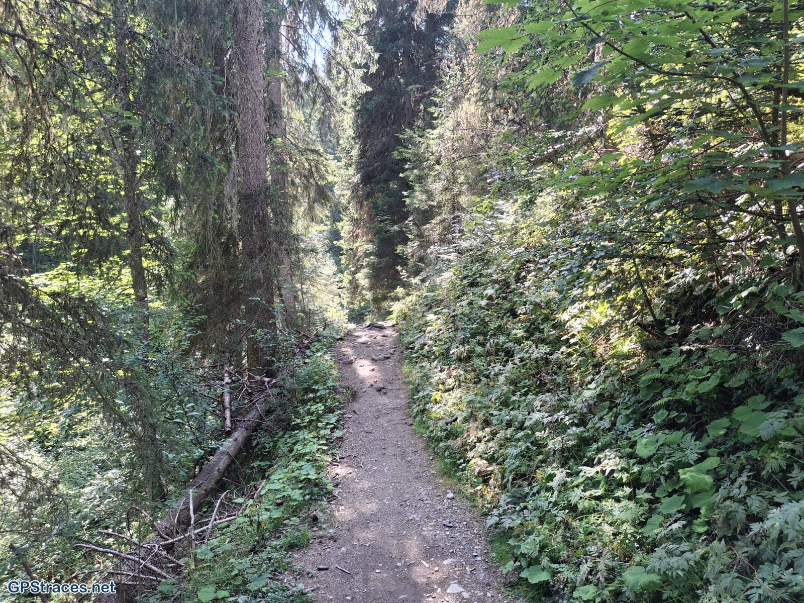Haute Savoie-Megève - L'Alpette–4