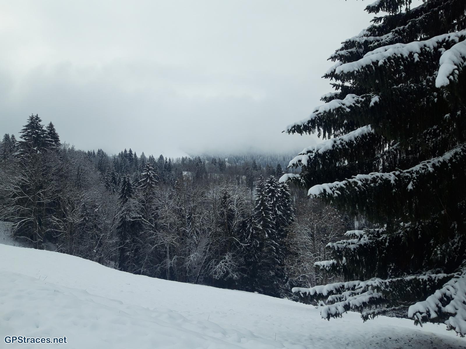 Haute Savoie-Le ruisseau d'Arbois–0