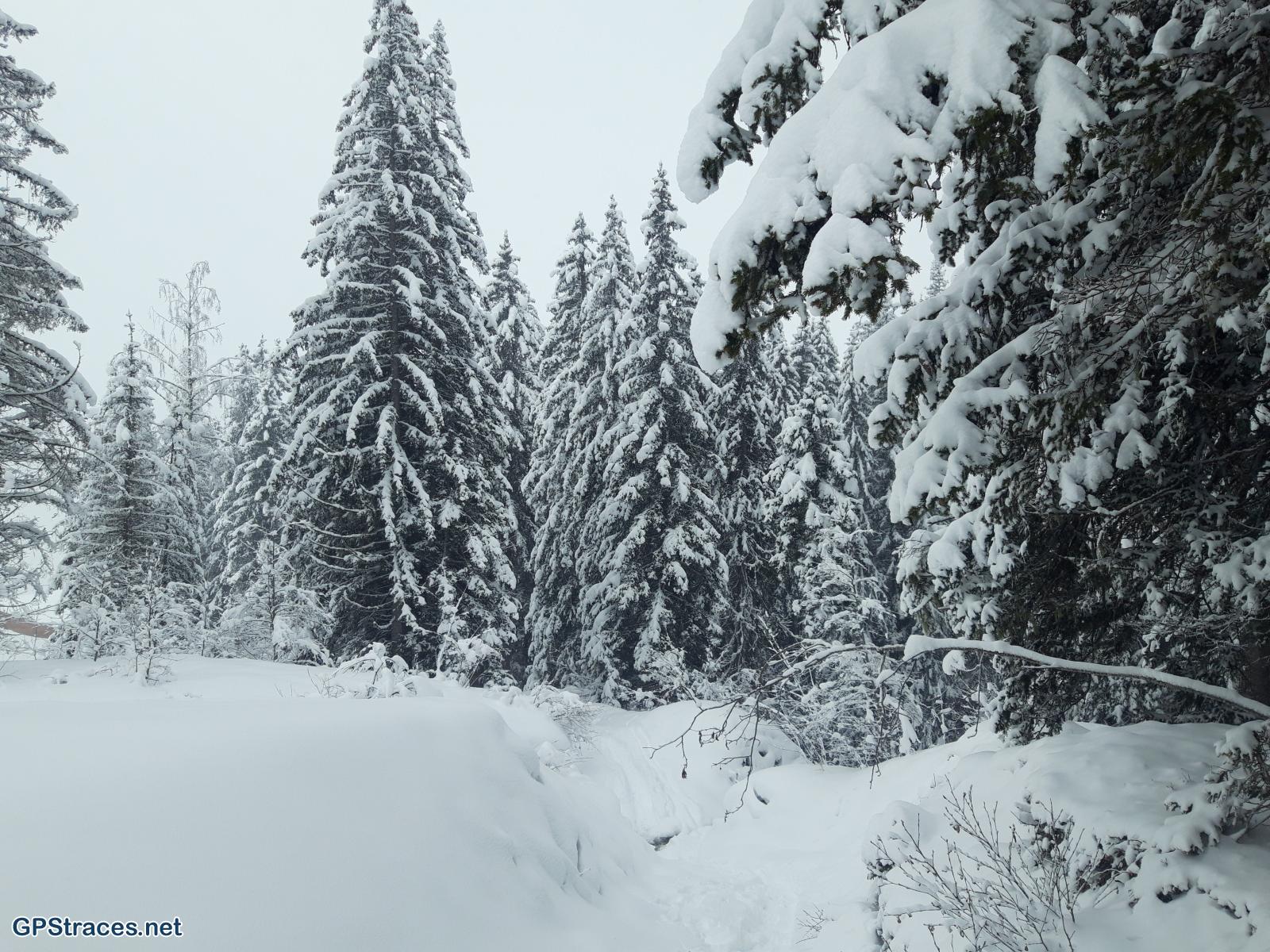 Haute Savoie-Le ruisseau d'Arbois–2