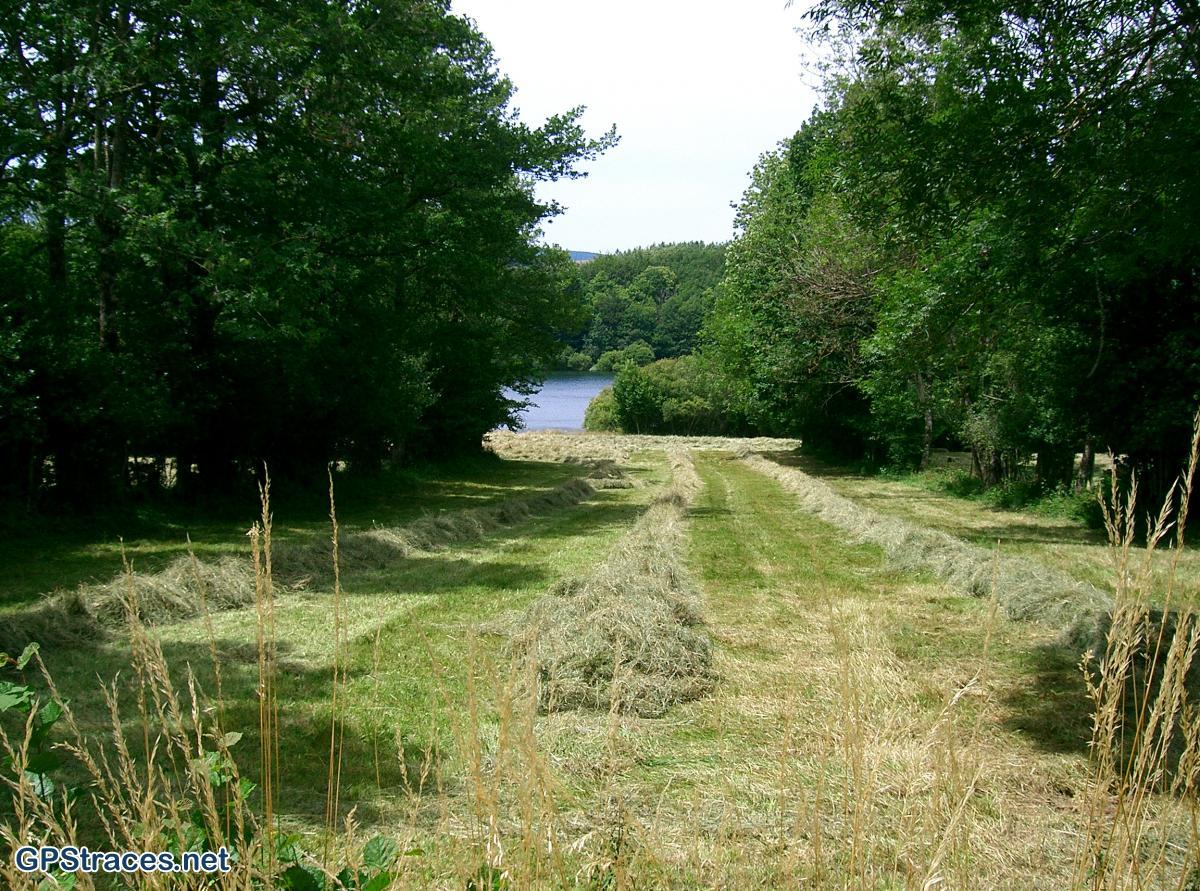 Tarn-Saint-Jacques de Compostelle :  Murat – La Moutouse–5