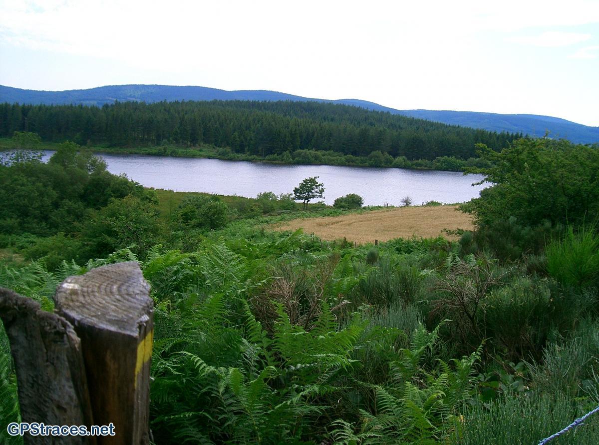 Tarn-Saint-Jacques de Compostelle :  Murat – La Moutouse–4