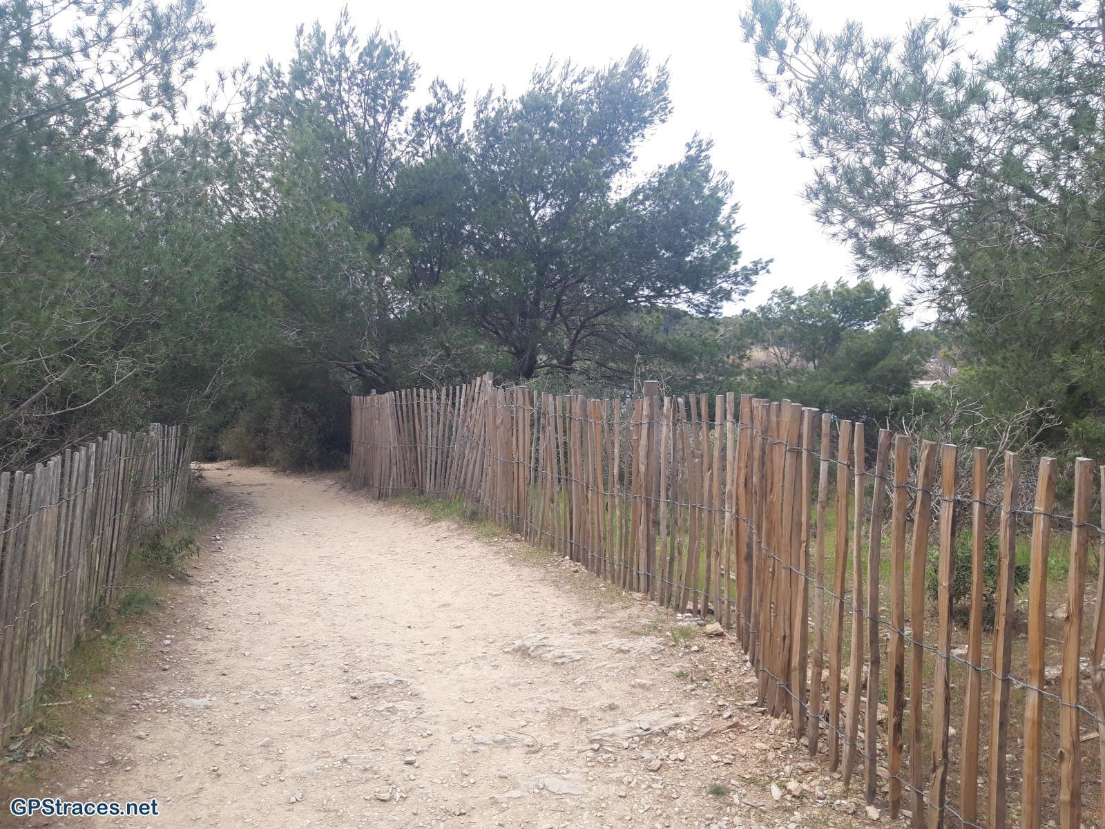 Var-L'Ile du Grand Gaou–0