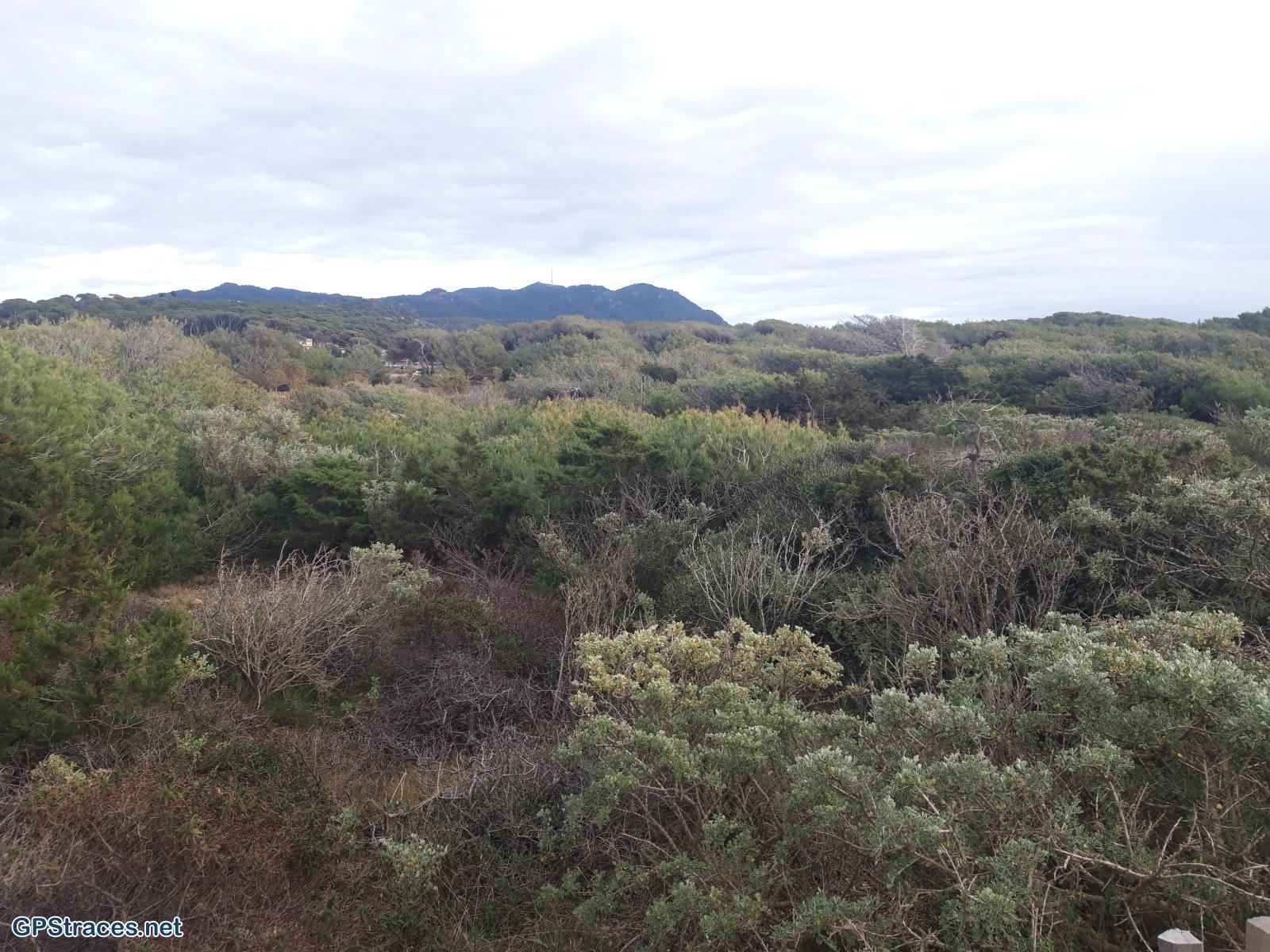 Var-L'Ile du Grand Gaou–5
