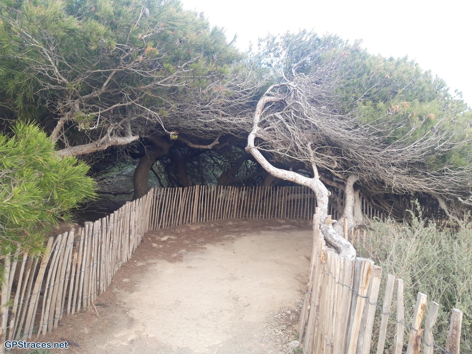 Var-L'Ile du Grand Gaou–9