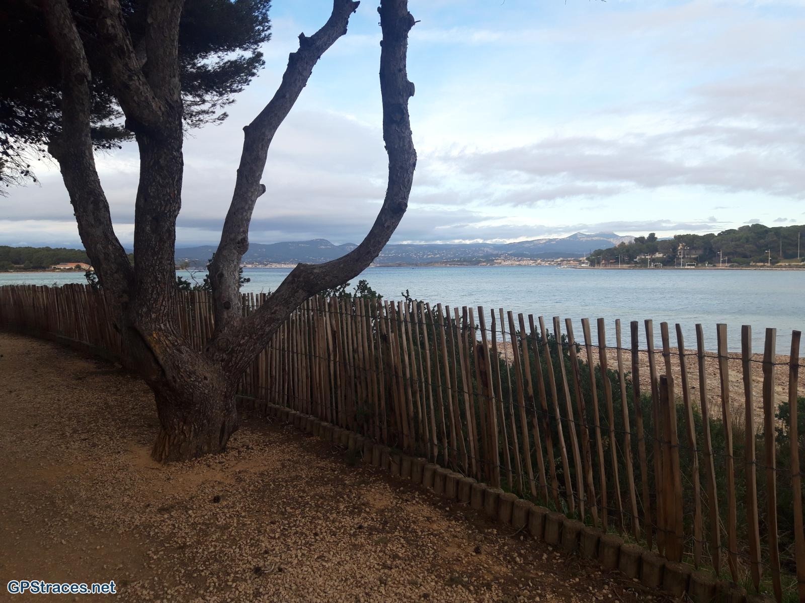 Var-L'Ile du Grand Gaou–11