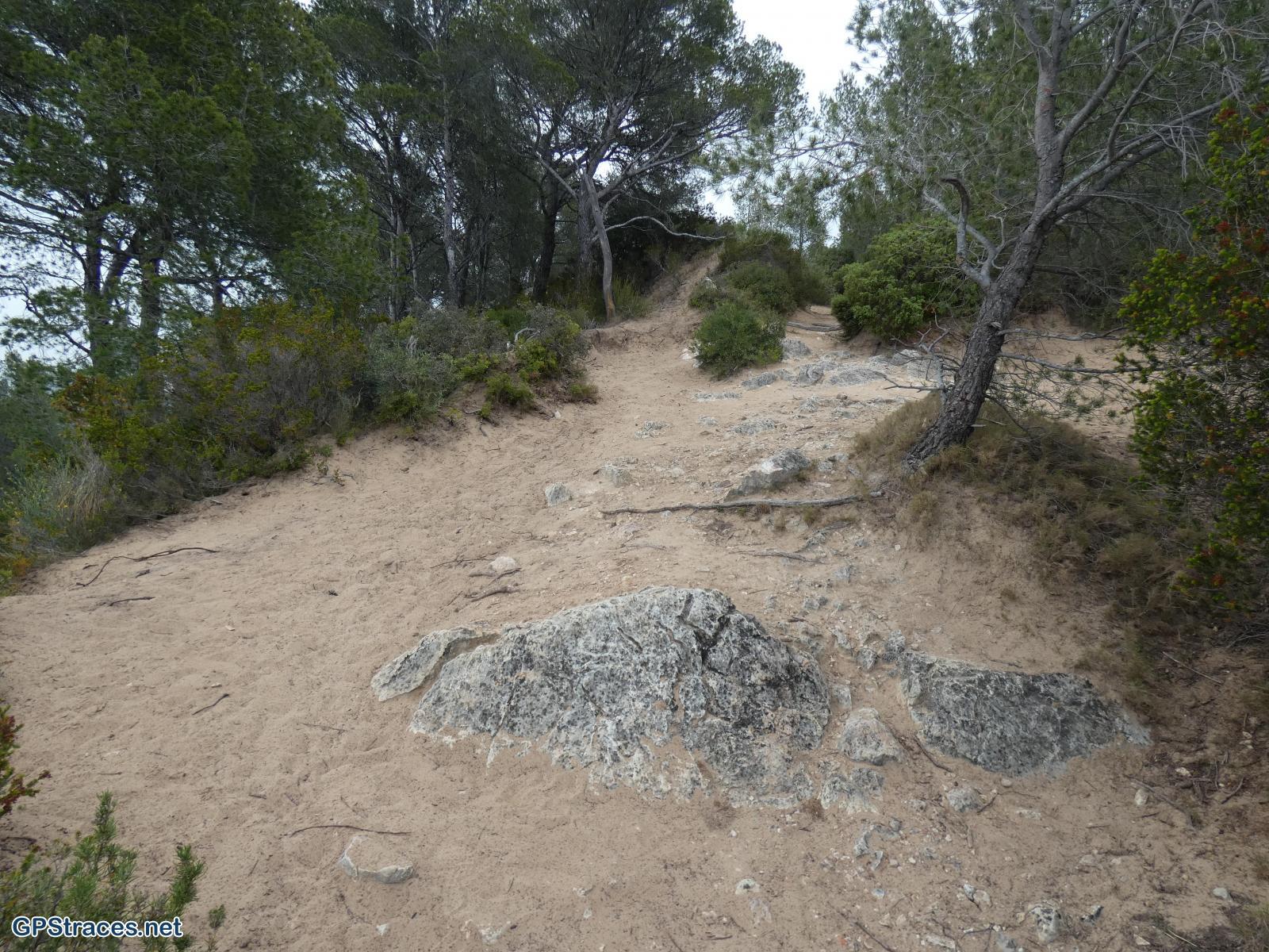 Var-Saint-Cyr les Lèques - Chemin des vignes - Chemin du littoral–4