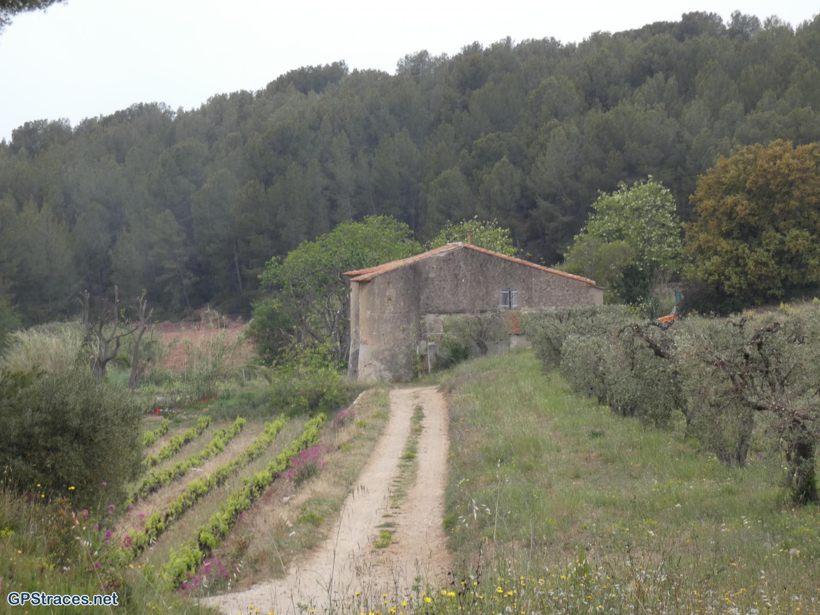 Var-Saint-Cyr les Lèques - Chemin des vignes - Chemin du littoral–7