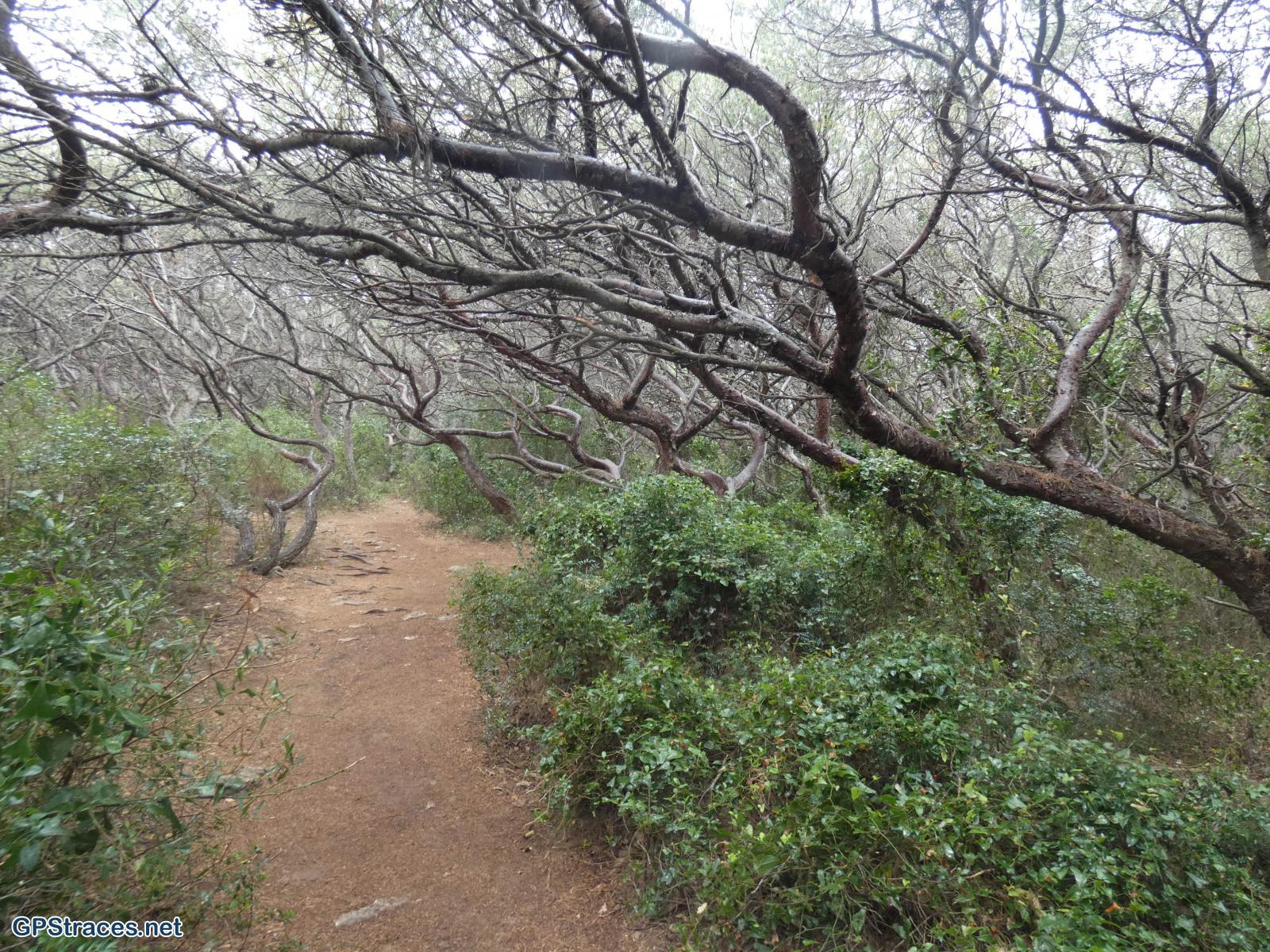 Var-Saint-Cyr les Lèques - Chemin des vignes - Chemin du littoral–12