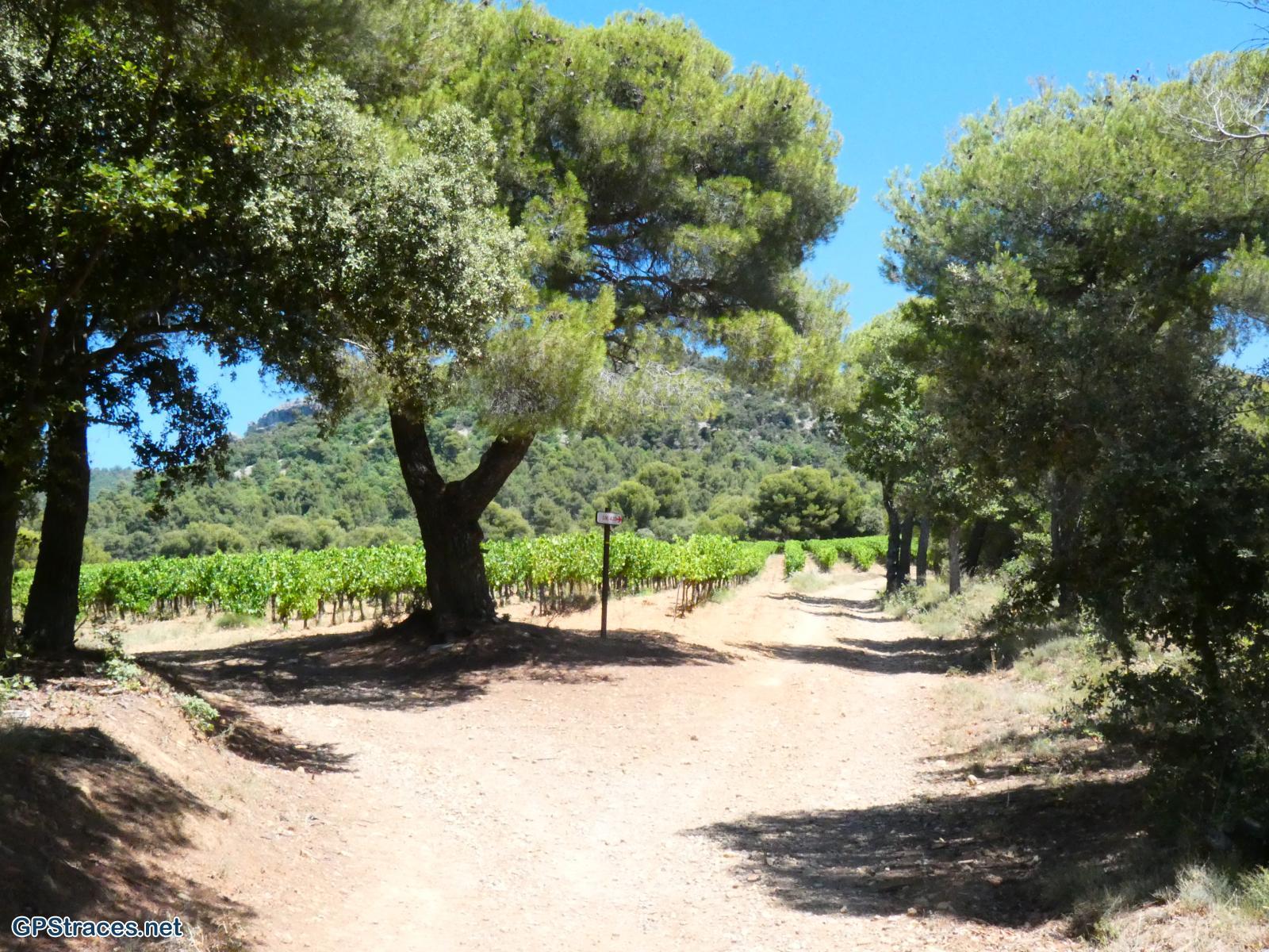 Vaucluse-Baronnies - Puyméras - Pas de Maneyrole–7