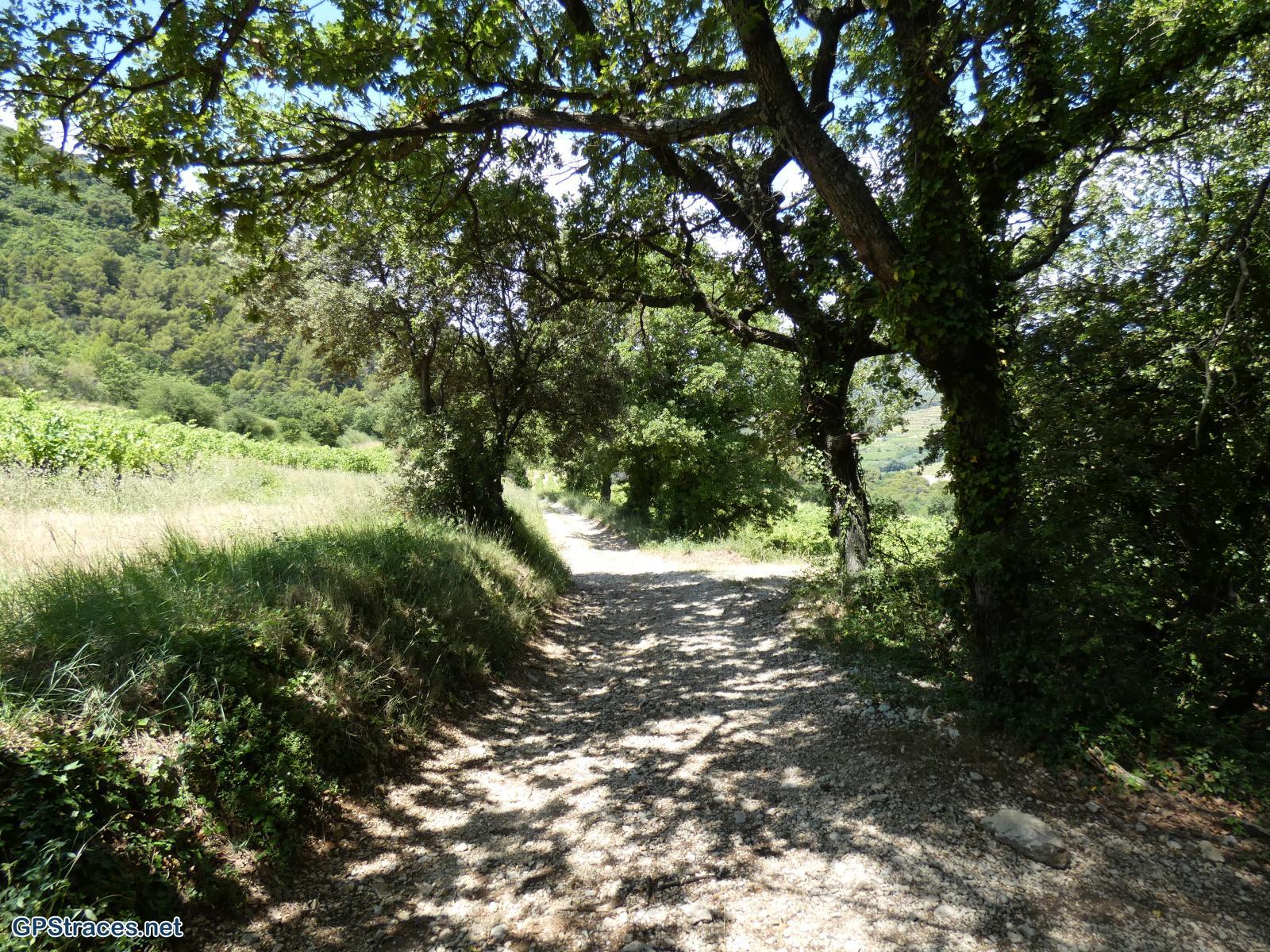 Vaucluse-Le Barroux - La Roque-Alric–0