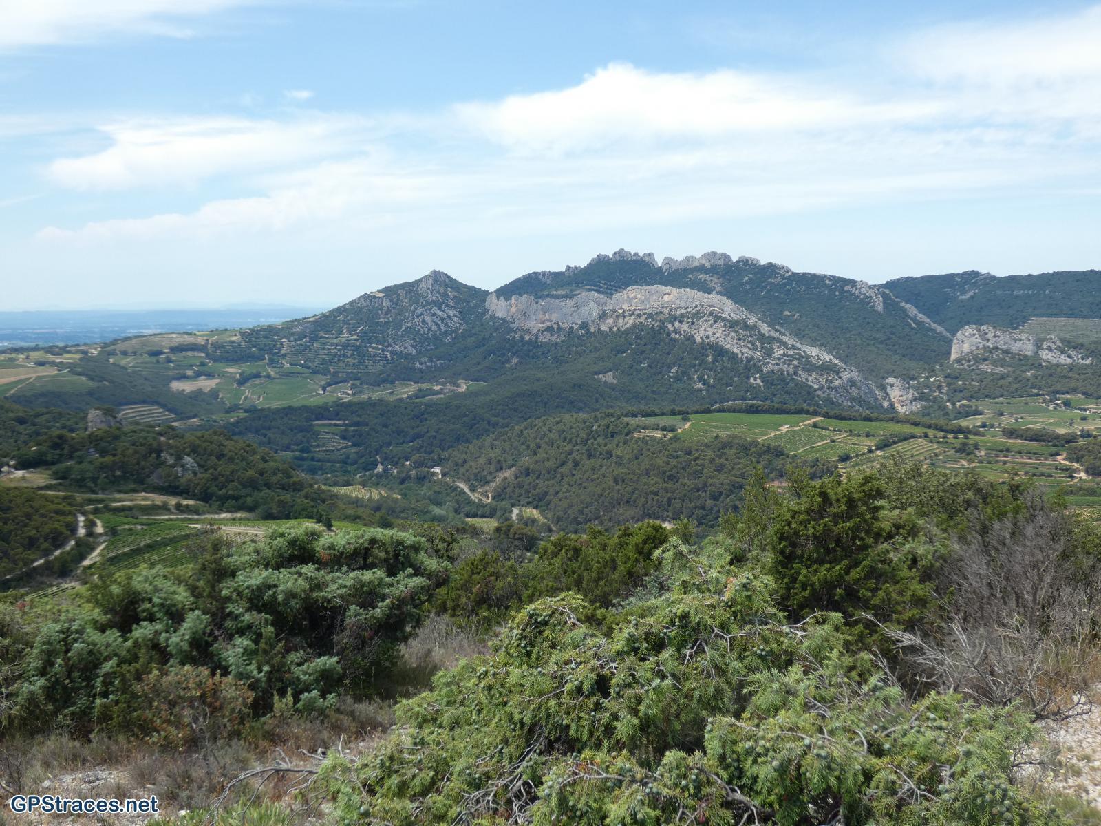 Les dentelles de Montmirail