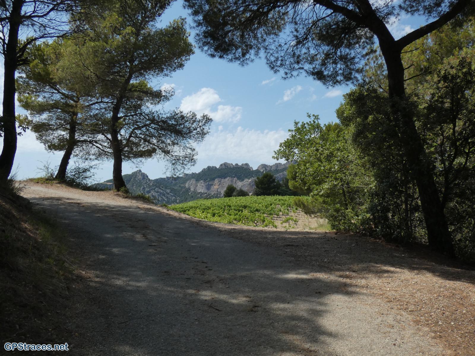 Vaucluse-Le Barroux - La Roque-Alric–9