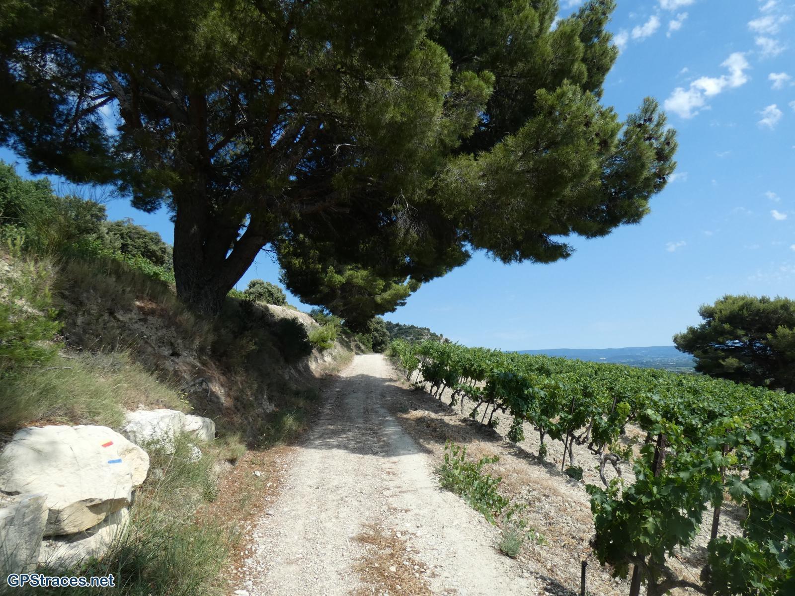 Vaucluse-Le Barroux - La Roque-Alric–11