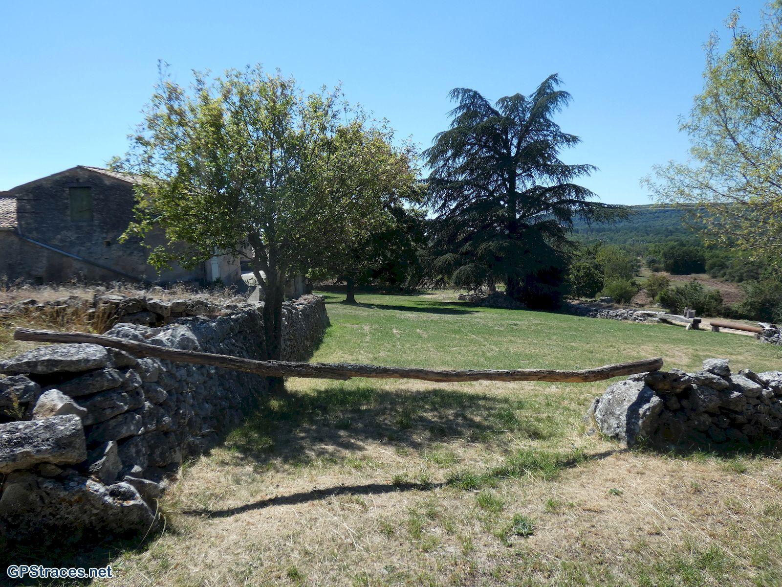 Sus Rousset