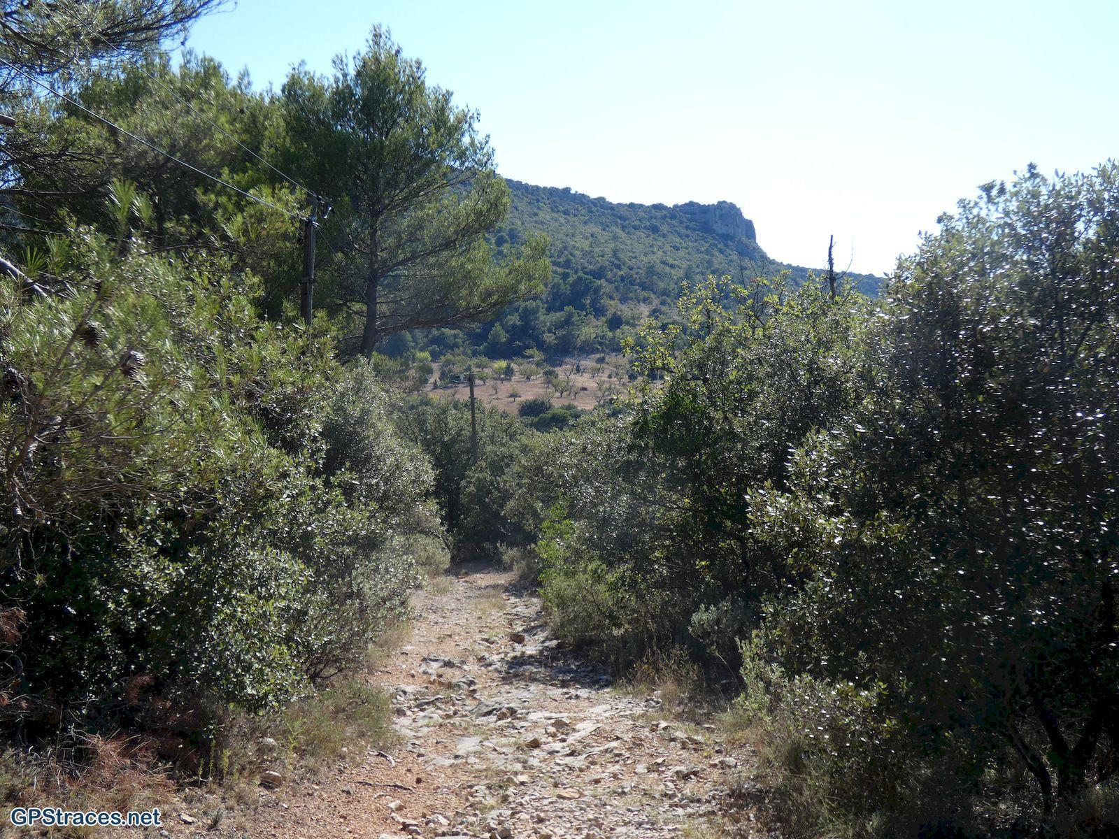 Vaucluse-Baumes Roustan et des Eymians - Moulin de Javon–25