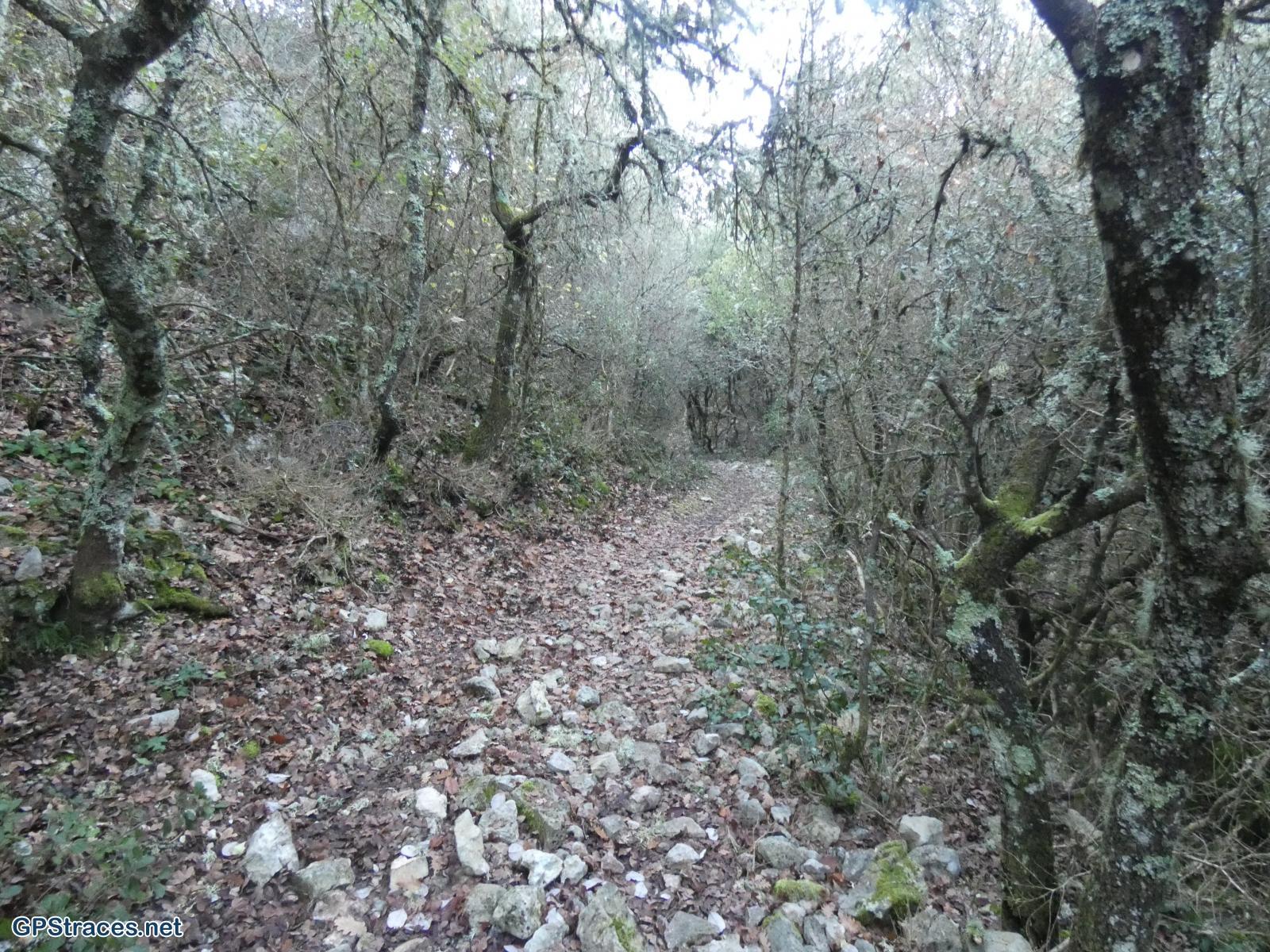 Le vallon de la fontaine du Rupt