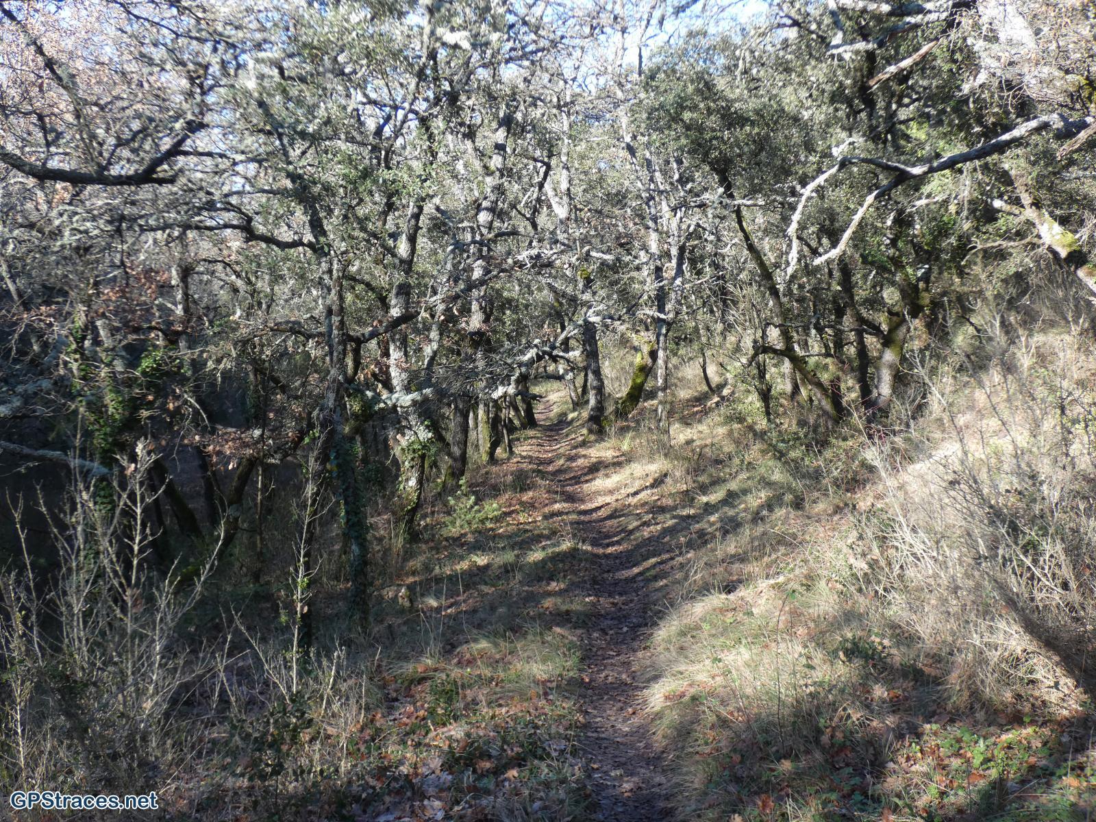 Vaucluse-Le Beaucet - Les trois Luisants–2