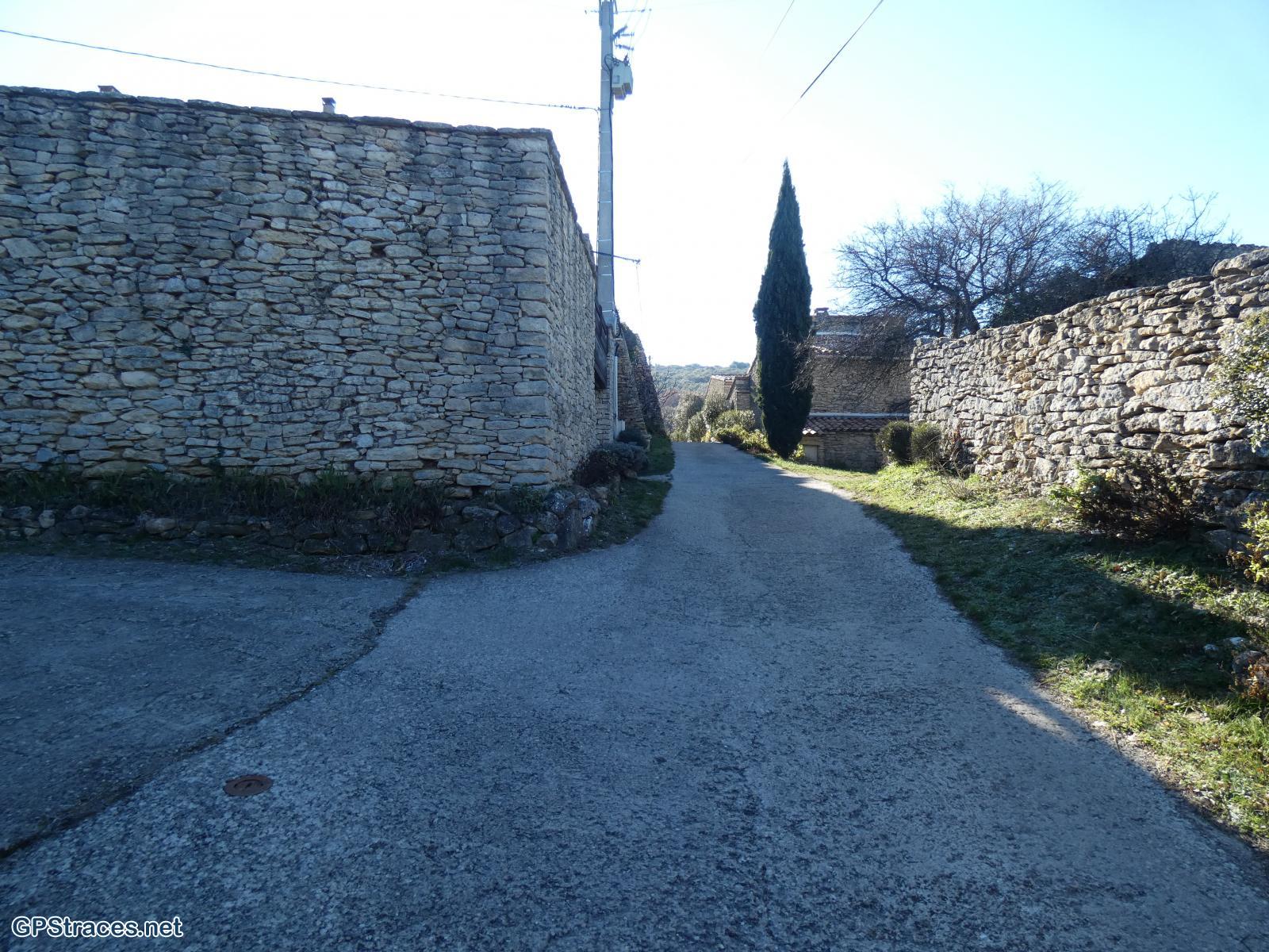 Barbarenque