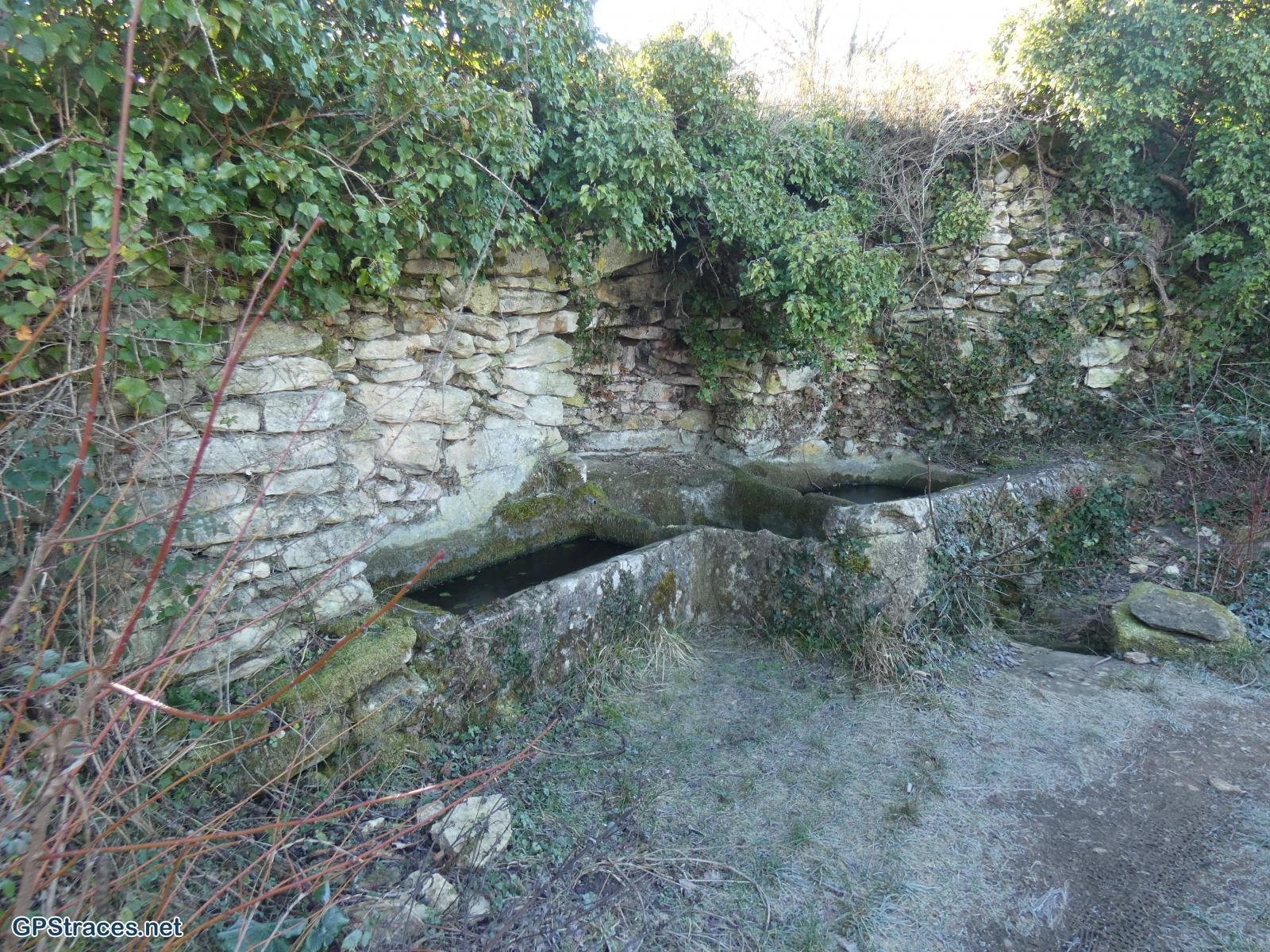 Barbarenque