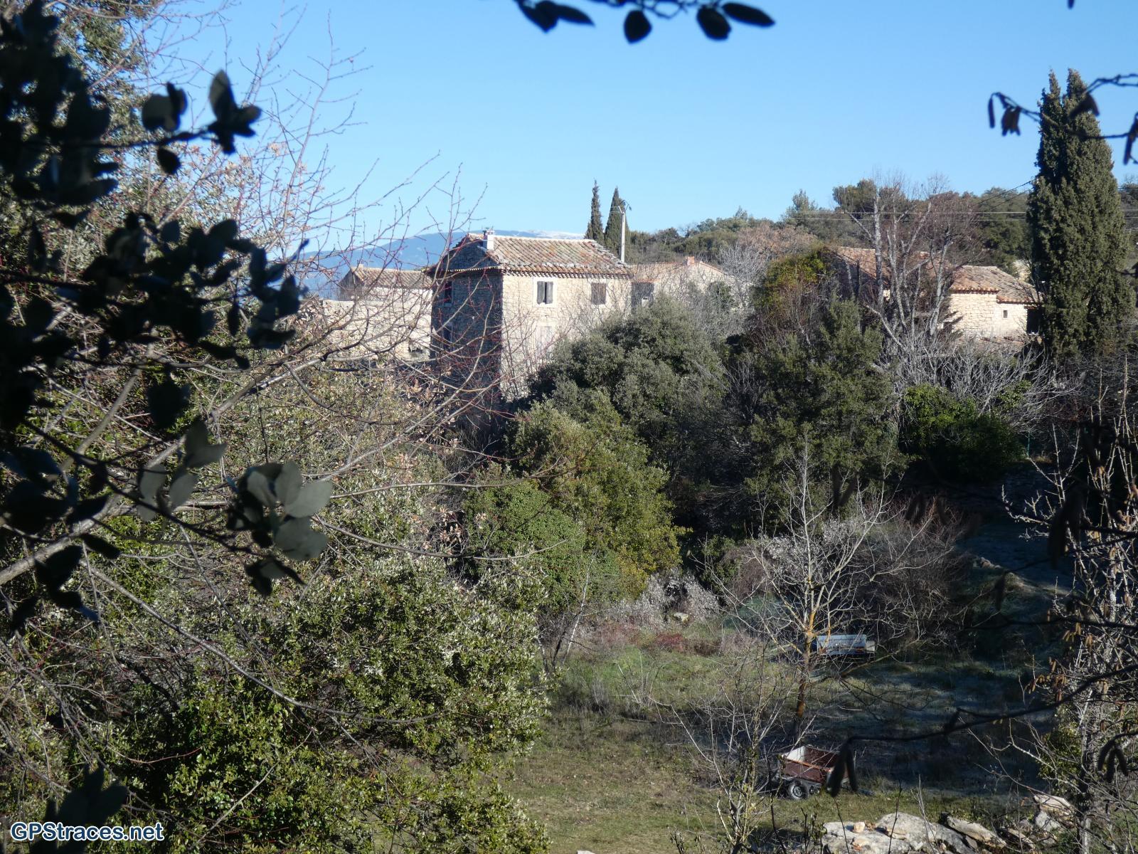 Barbarenque