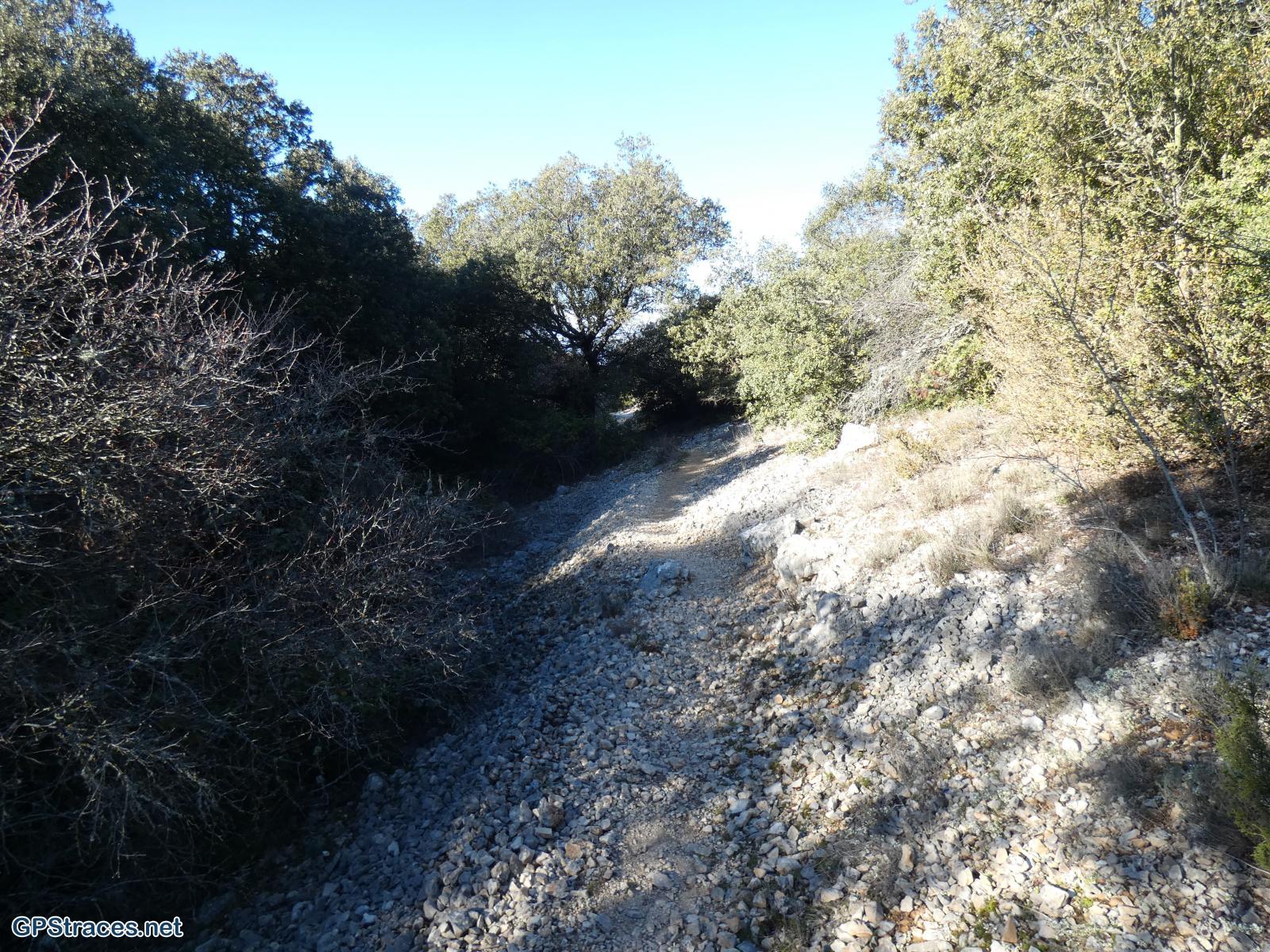 Vaucluse-Le Beaucet - Les trois Luisants–11
