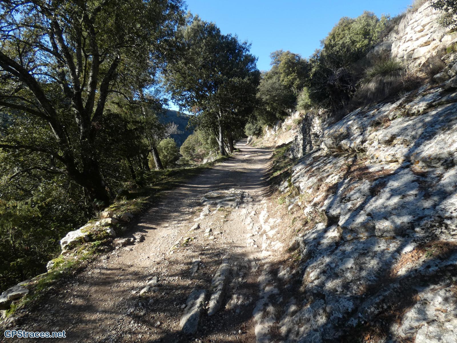 Vaucluse-Le Beaucet - Les trois Luisants–16