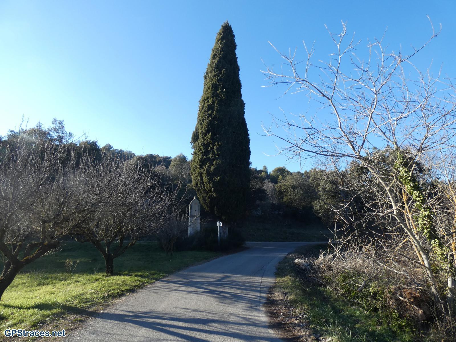 Vaucluse-Le Beaucet - Les trois Luisants–19