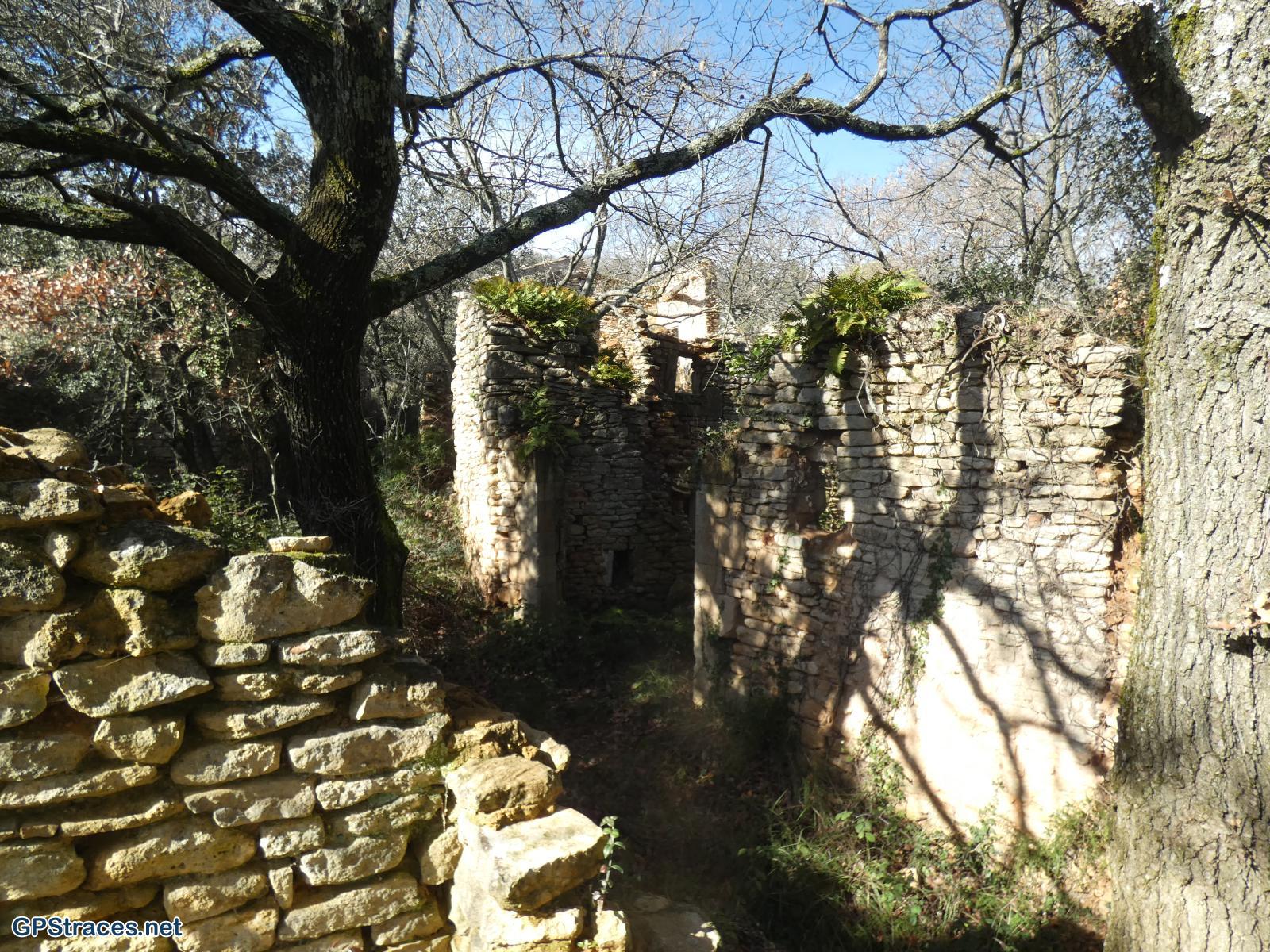 Les Daumas