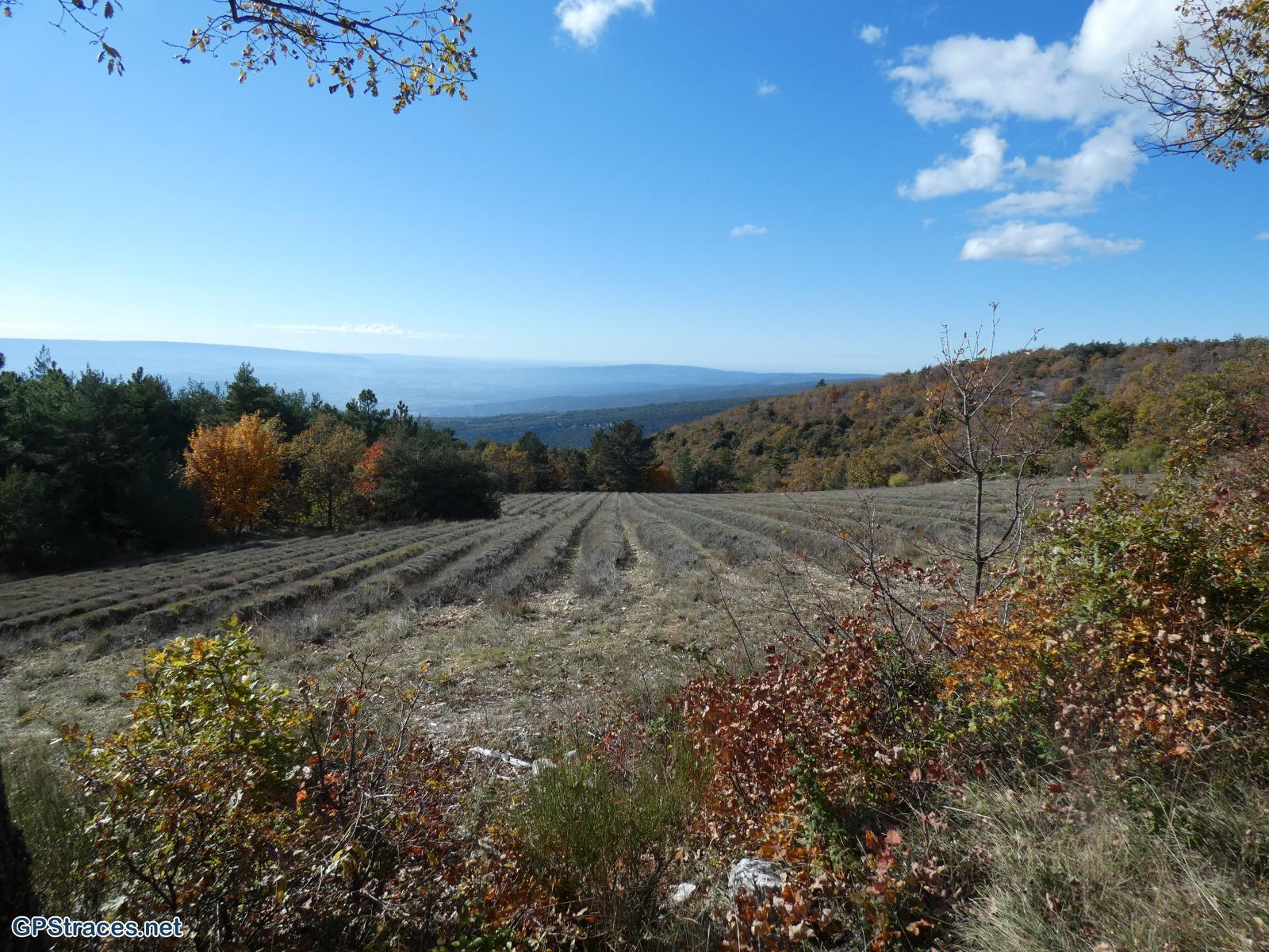 Vaucluse-Cabrone - Col de Lagarde d'Apt–9