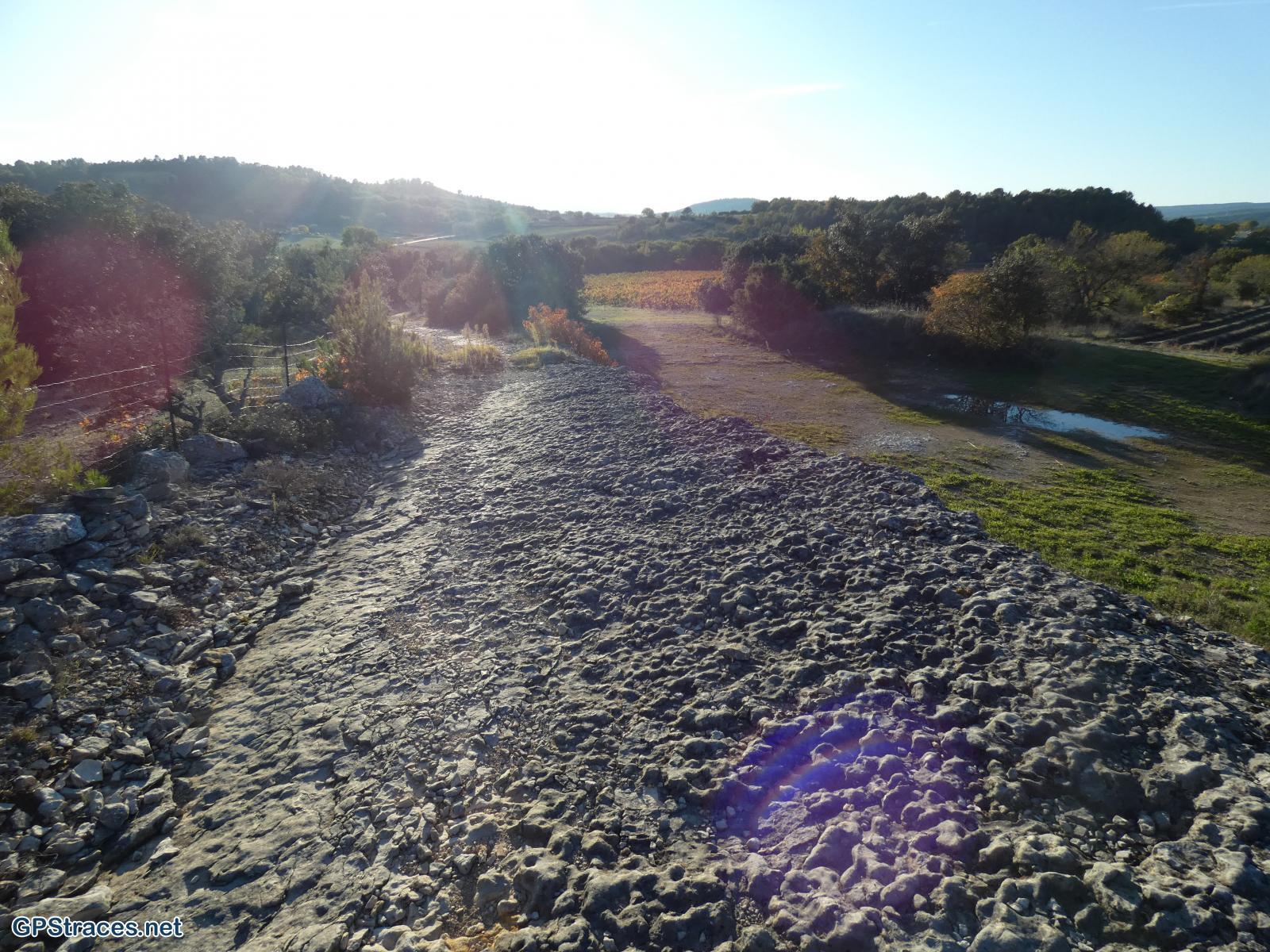 Vaucluse-Cabrone - Col de Lagarde d'Apt–12