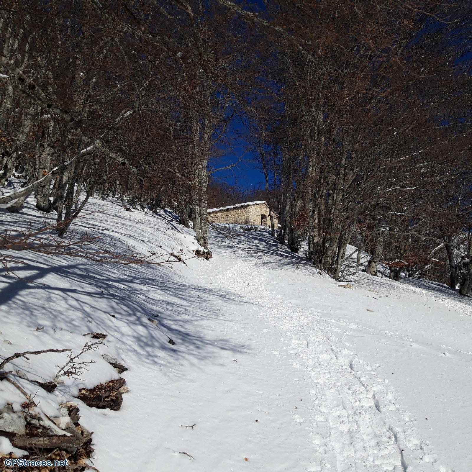 Vaucluse-Chalet Reynard - Jas des Pèlerins–5