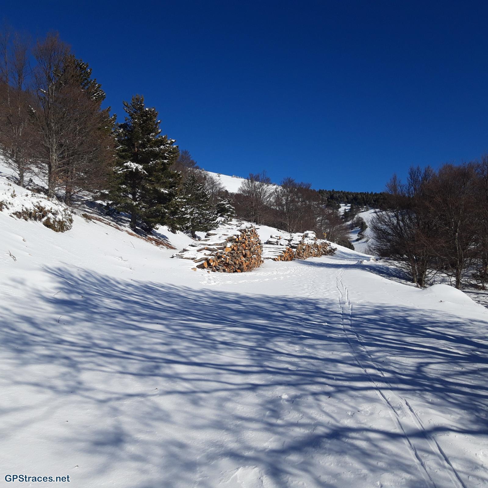 Vaucluse-Chalet Reynard - Jas des Pèlerins–7