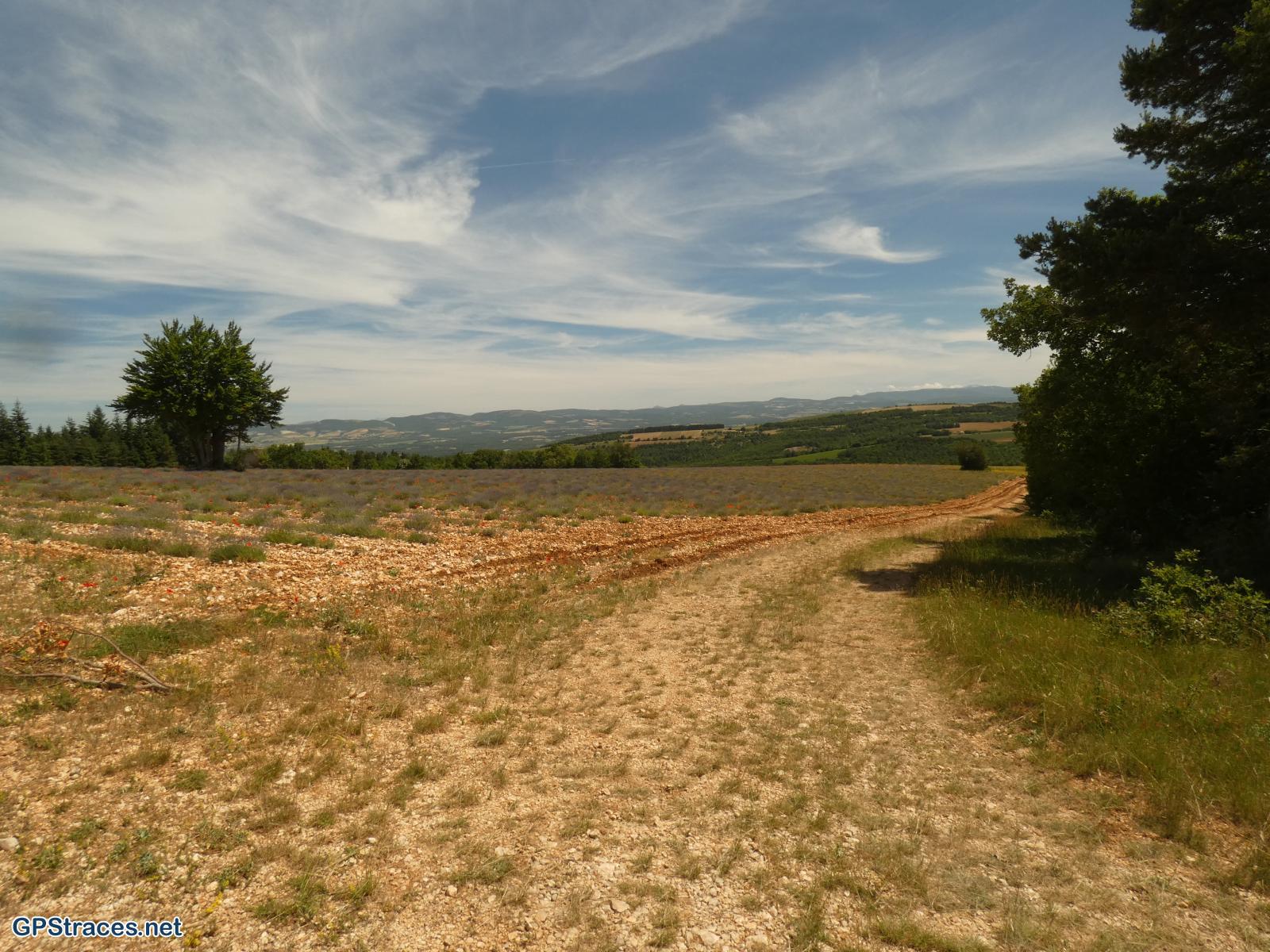 Vaucluse-Champ Long - Croix de la lavande–0