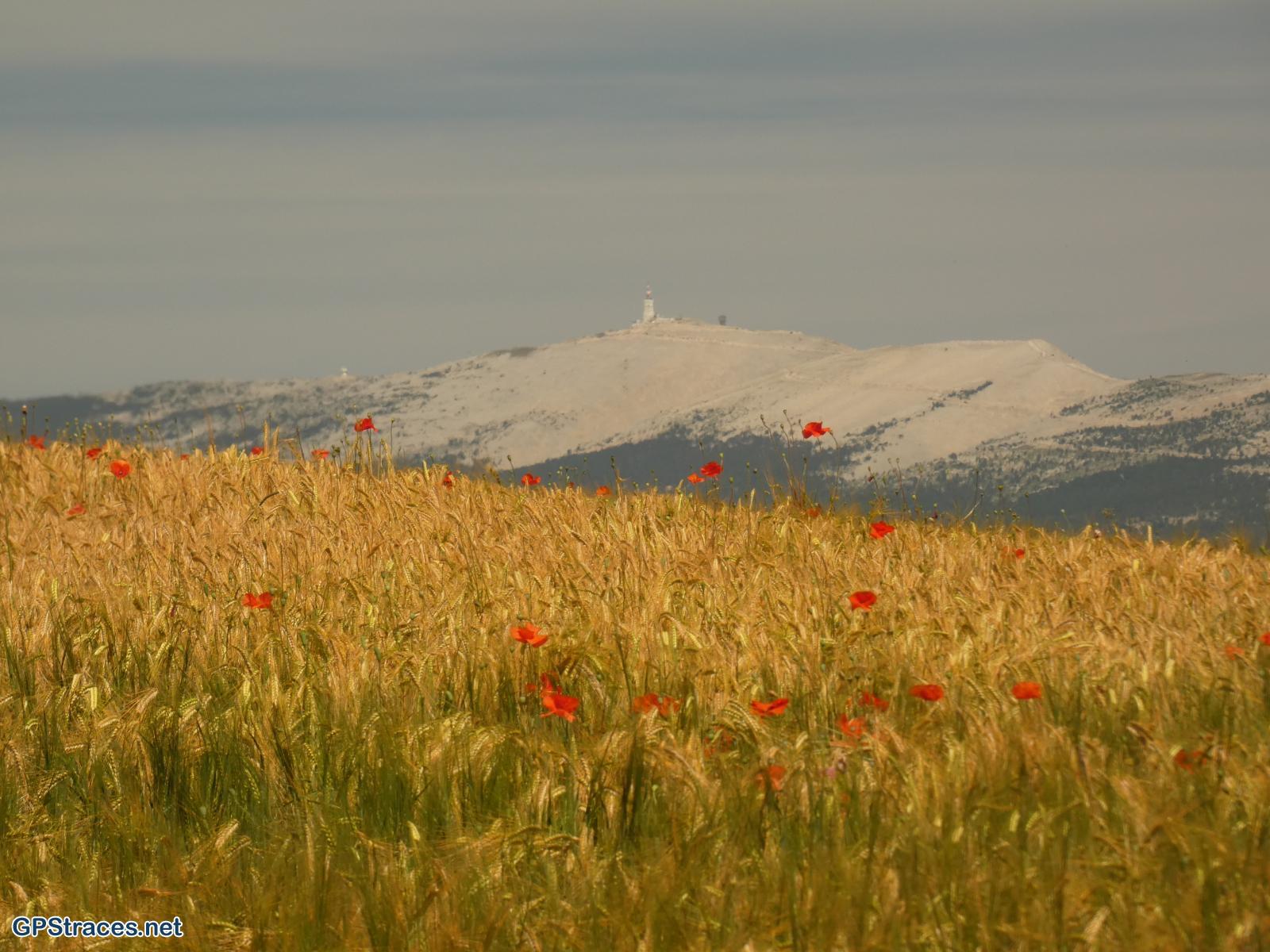 Le Mont Ventoux