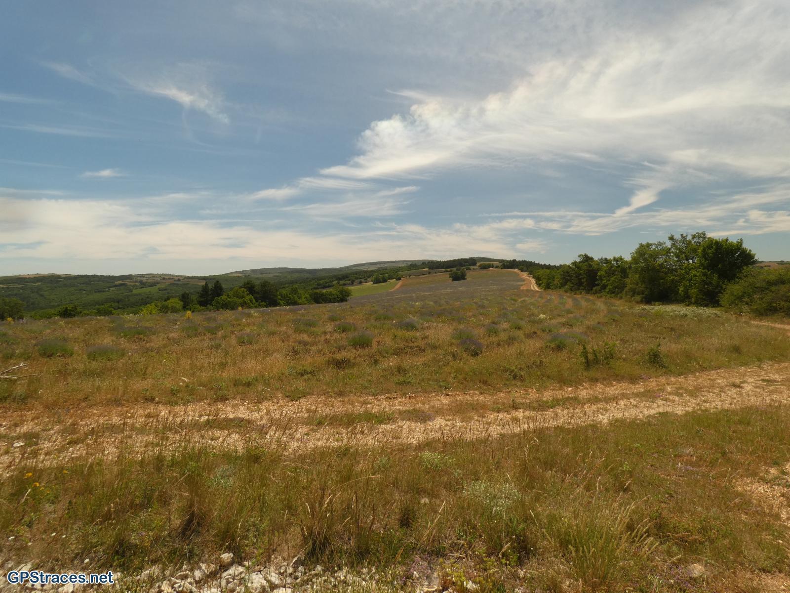 Vaucluse-Champ Long - Croix de la lavande–3