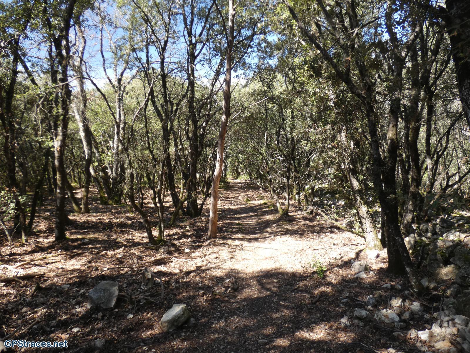 Vaucluse-Chapelle Ste-Foy - Beaume d'Imbert–5