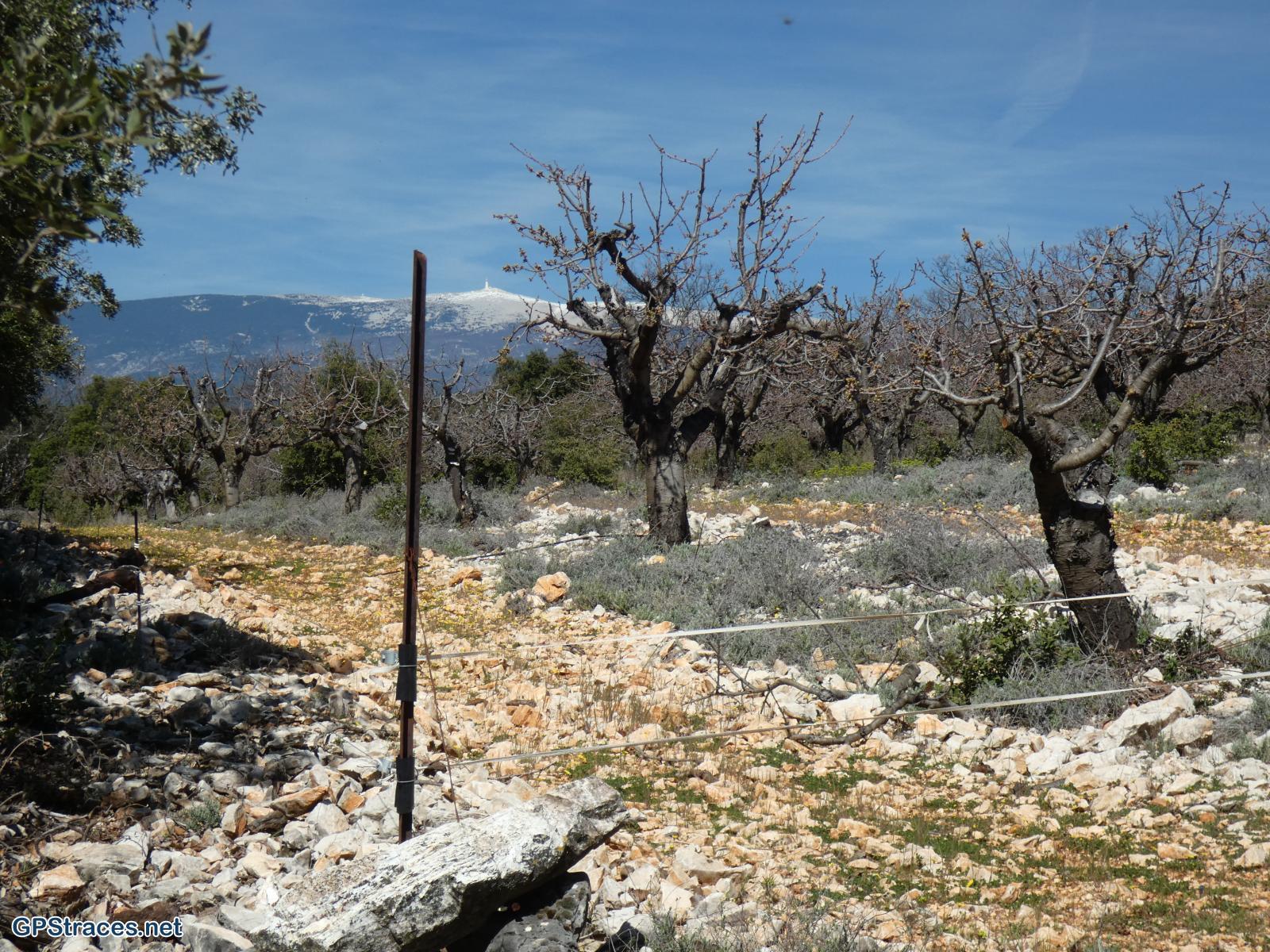 Le Mont Ventoux