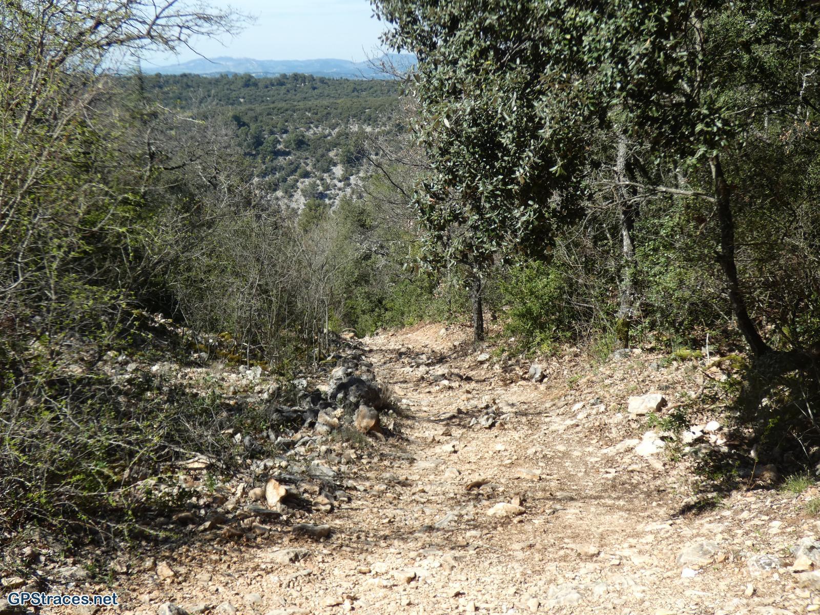 Vaucluse-Chapelle Ste-Foy - Beaume d'Imbert–8