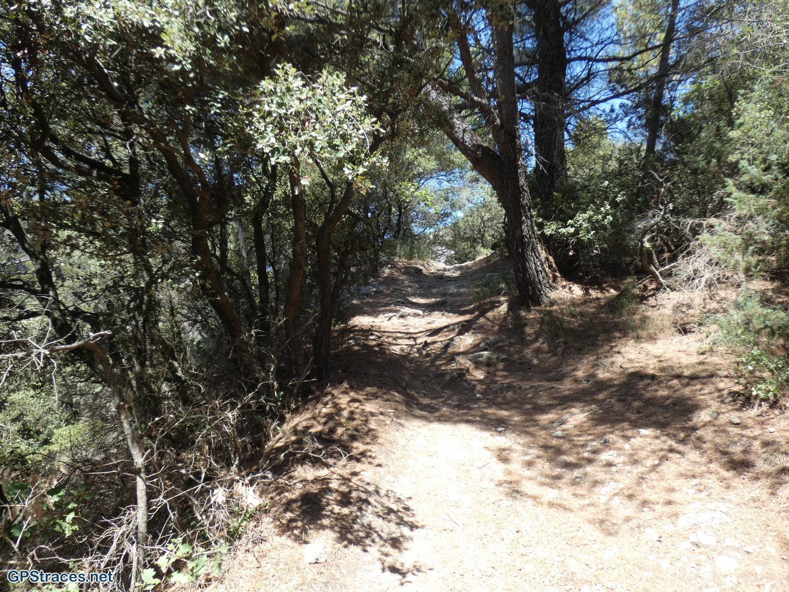 Vaucluse-Col de la Chaine - Crête de Saint Amand - Arfuyen–3