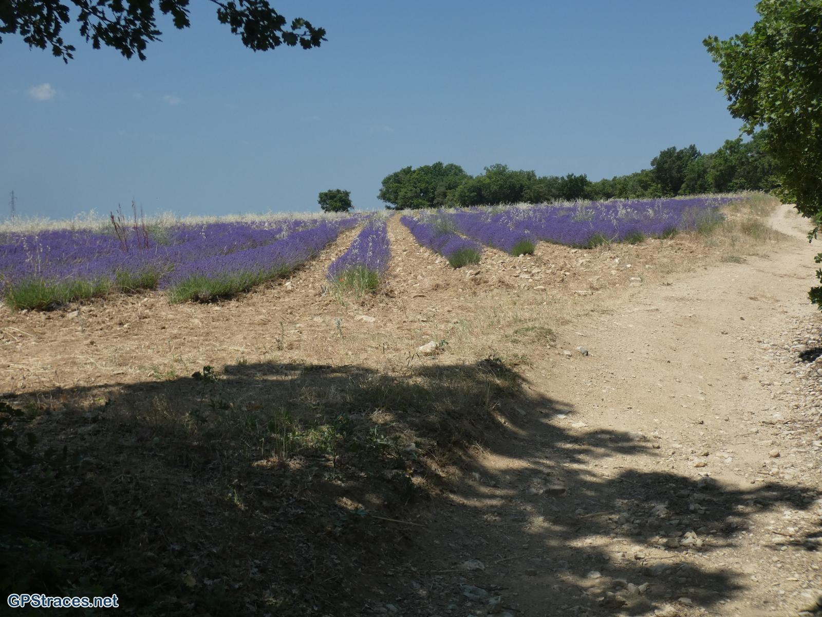 Vaucluse-Le Colorado Provençal en boucle–2