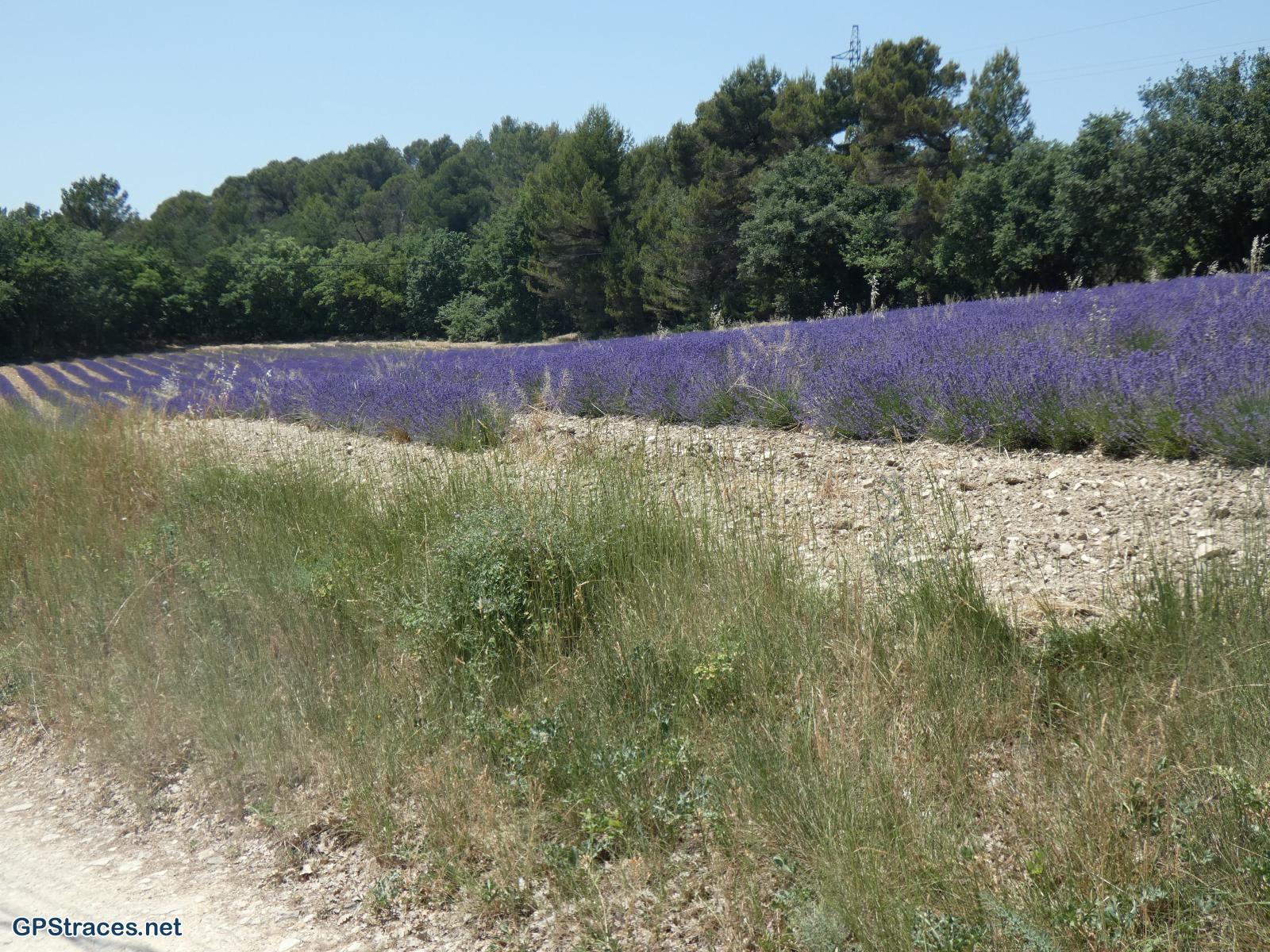 Vaucluse-Le Colorado Provençal en boucle–7