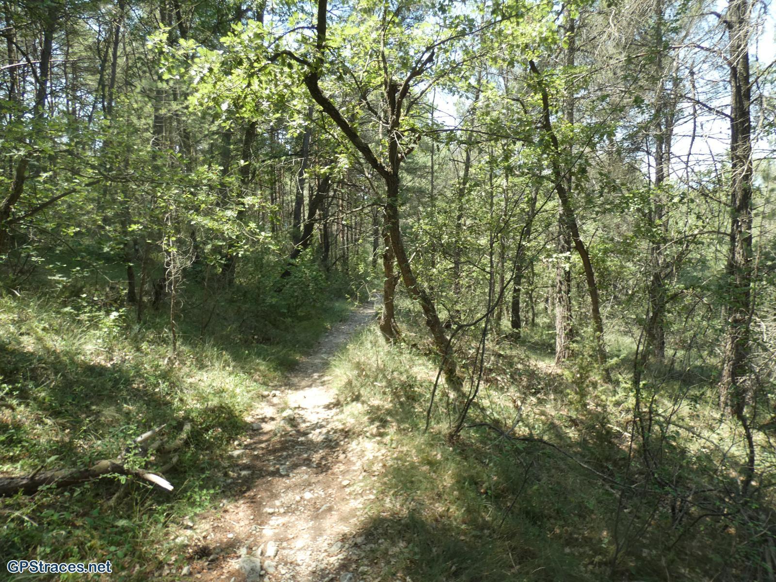 Vaucluse-Le Colorado Provençal en boucle–10