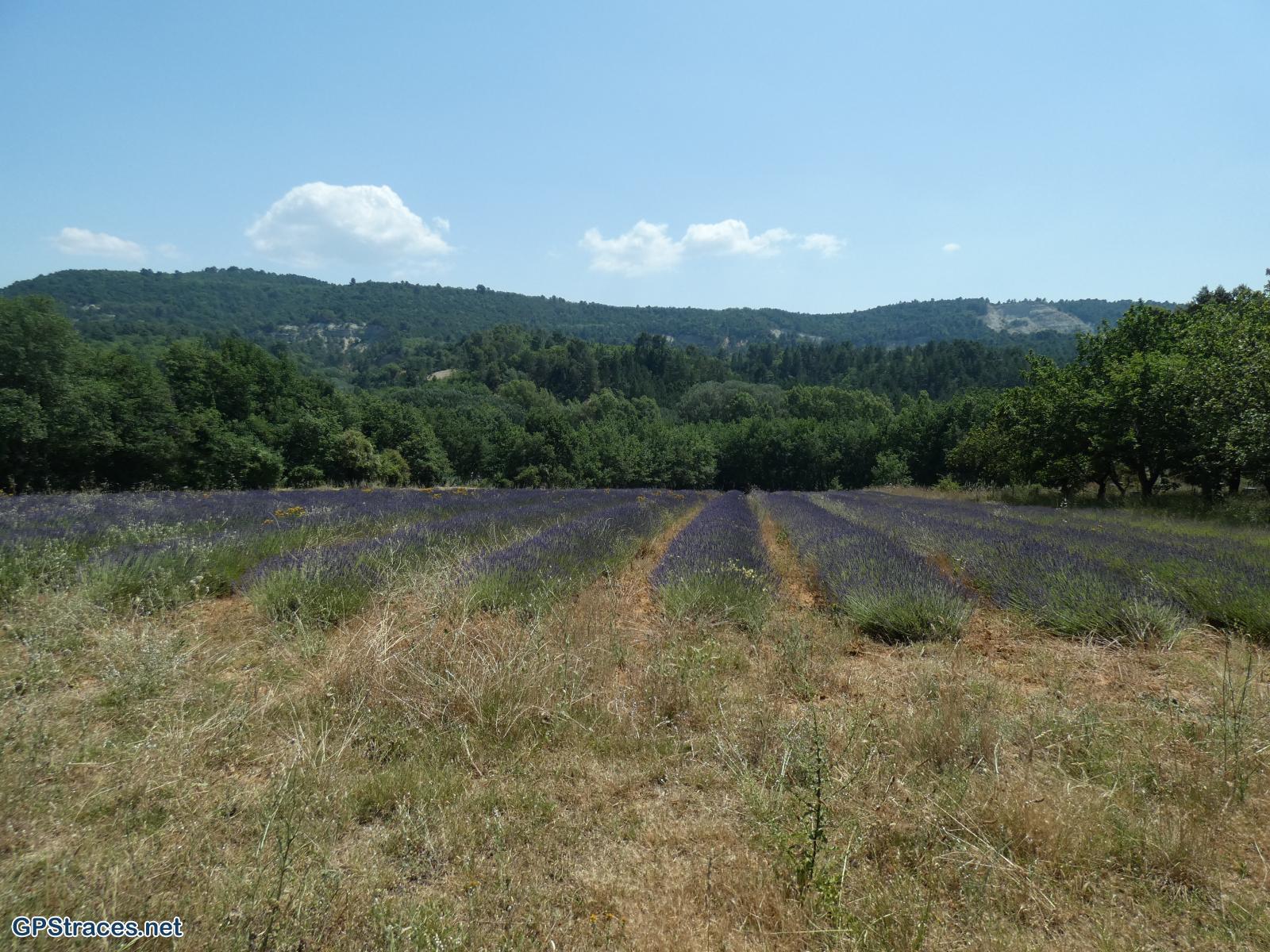 Vaucluse-Le Colorado Provençal en boucle–26