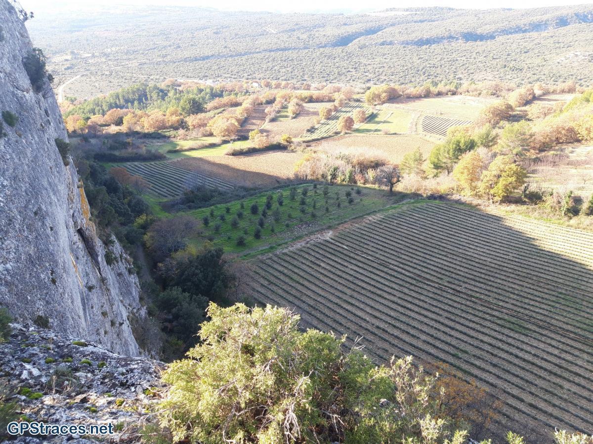 Vaucluse-Combe de Font Jouvale - Falaise de la Madeleine–8