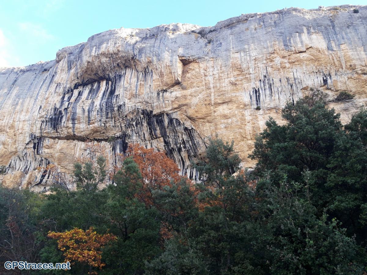 Vaucluse-Combe de Font Jouvale - Falaise de la Madeleine–11
