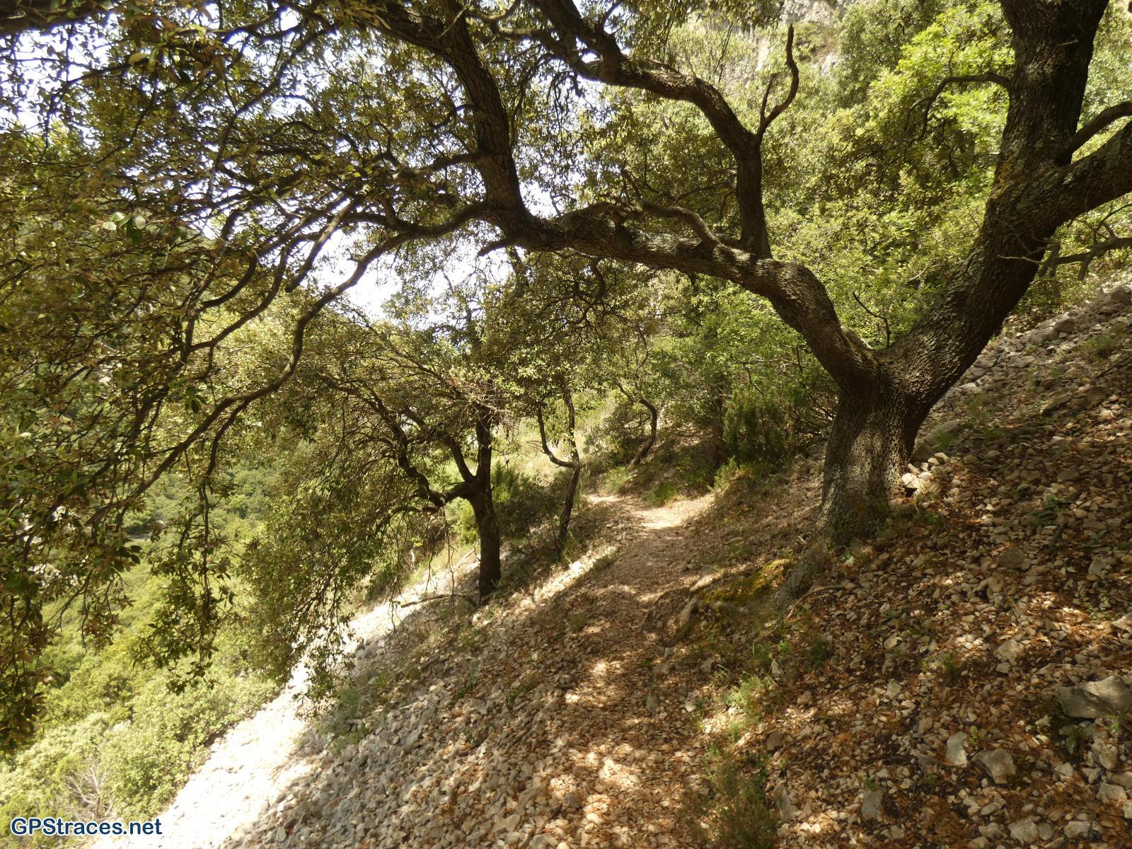 La combe du Capellan