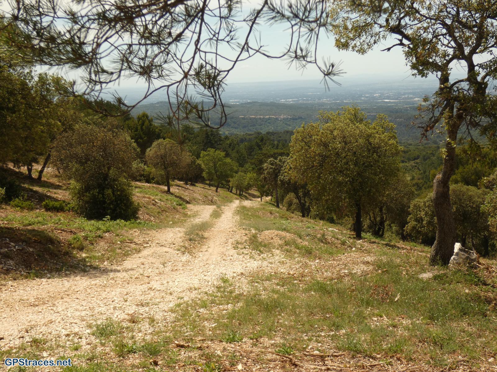 La piste de la Fuste